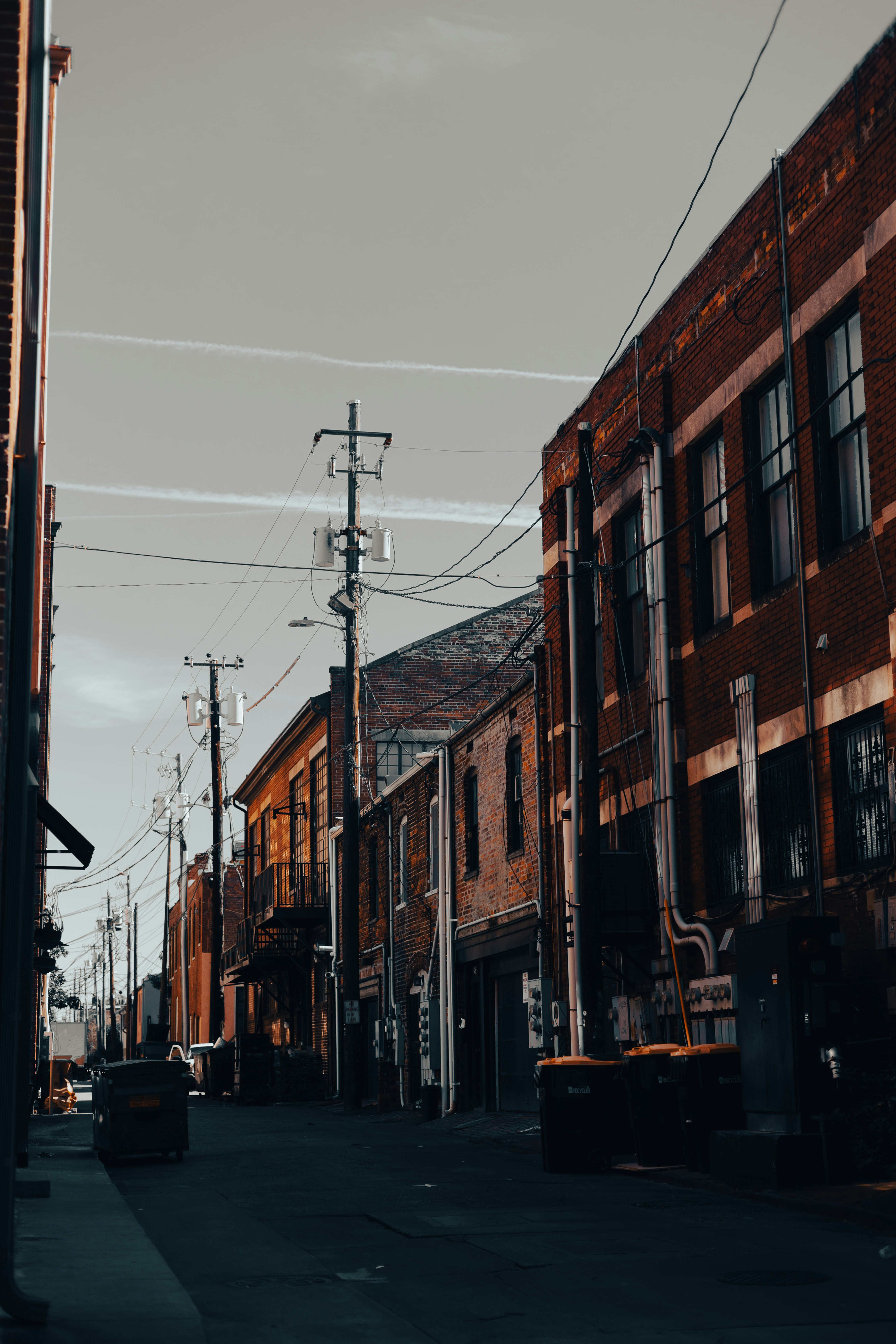 Photo by haomeng_yang