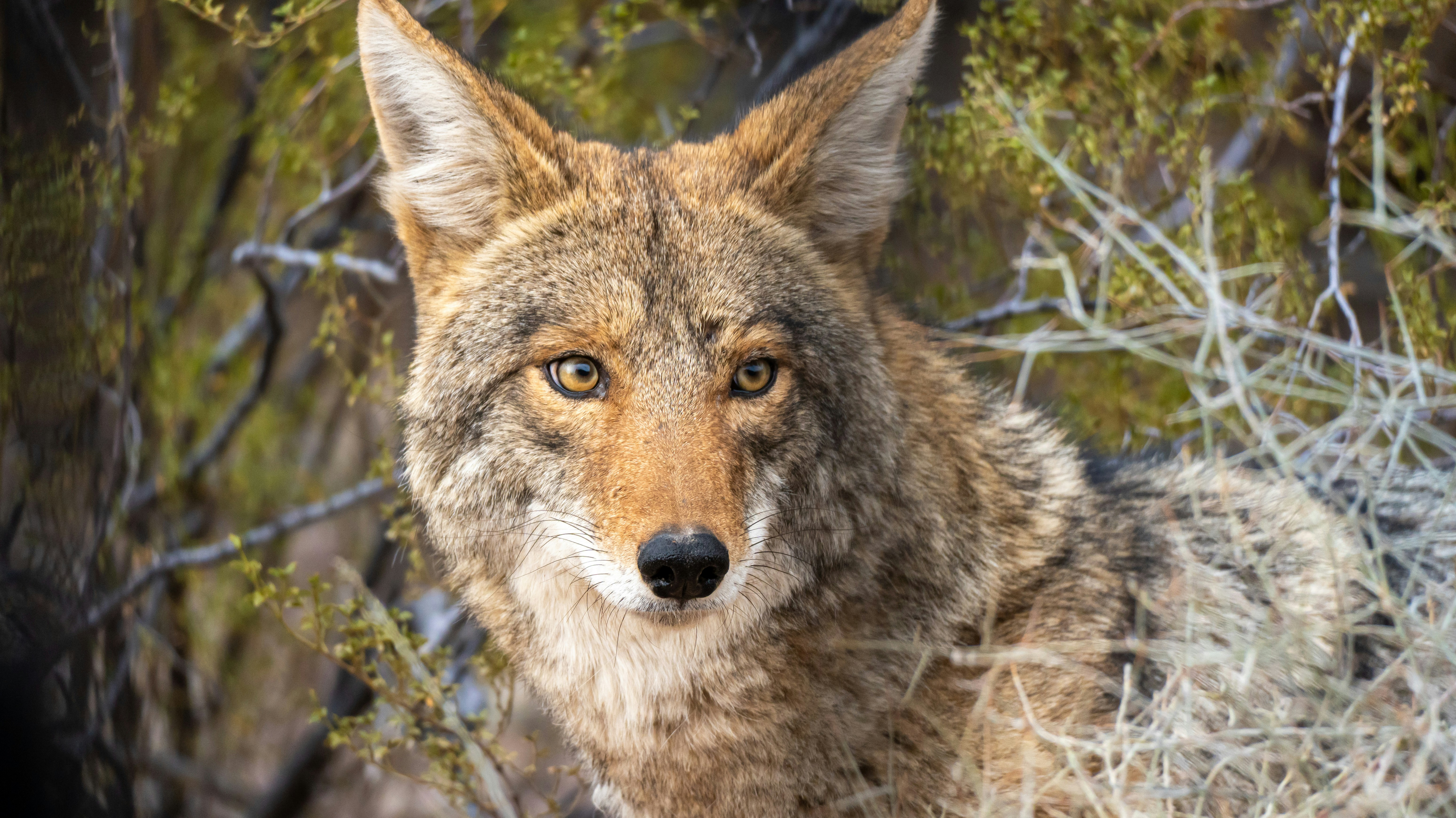 Photo by jcnonstop87