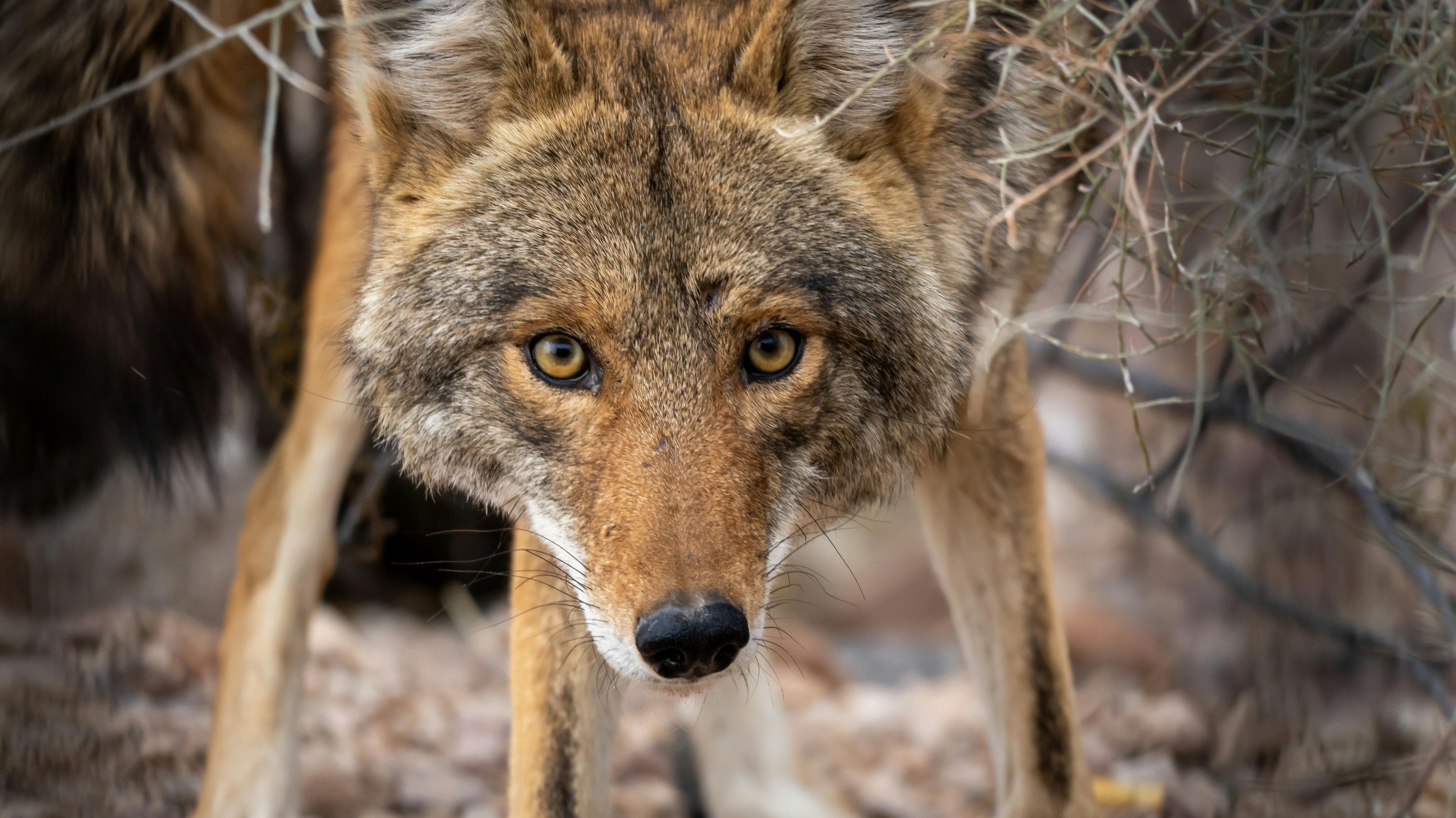 Photo by jcnonstop87