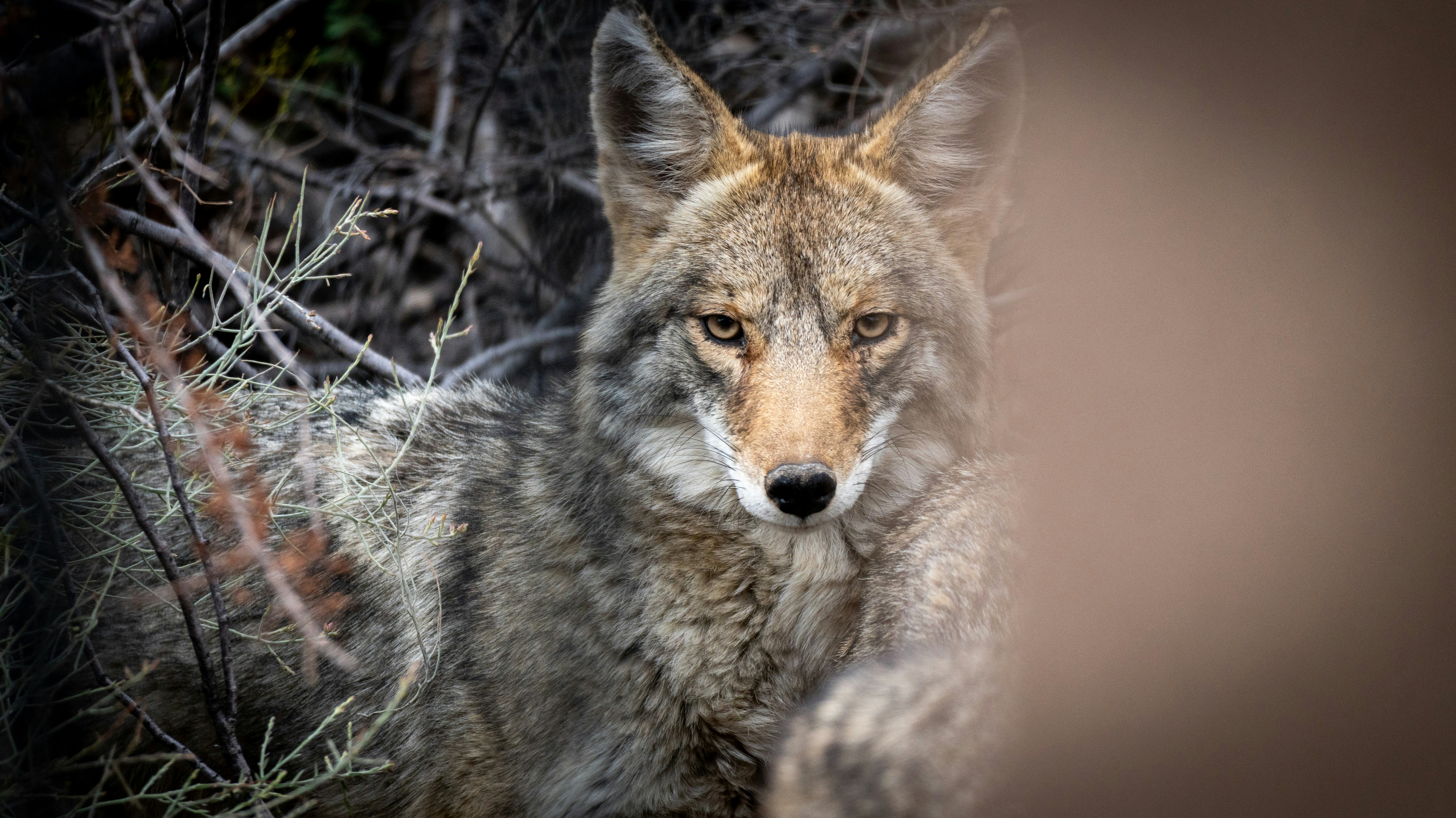 Photo by jcnonstop87