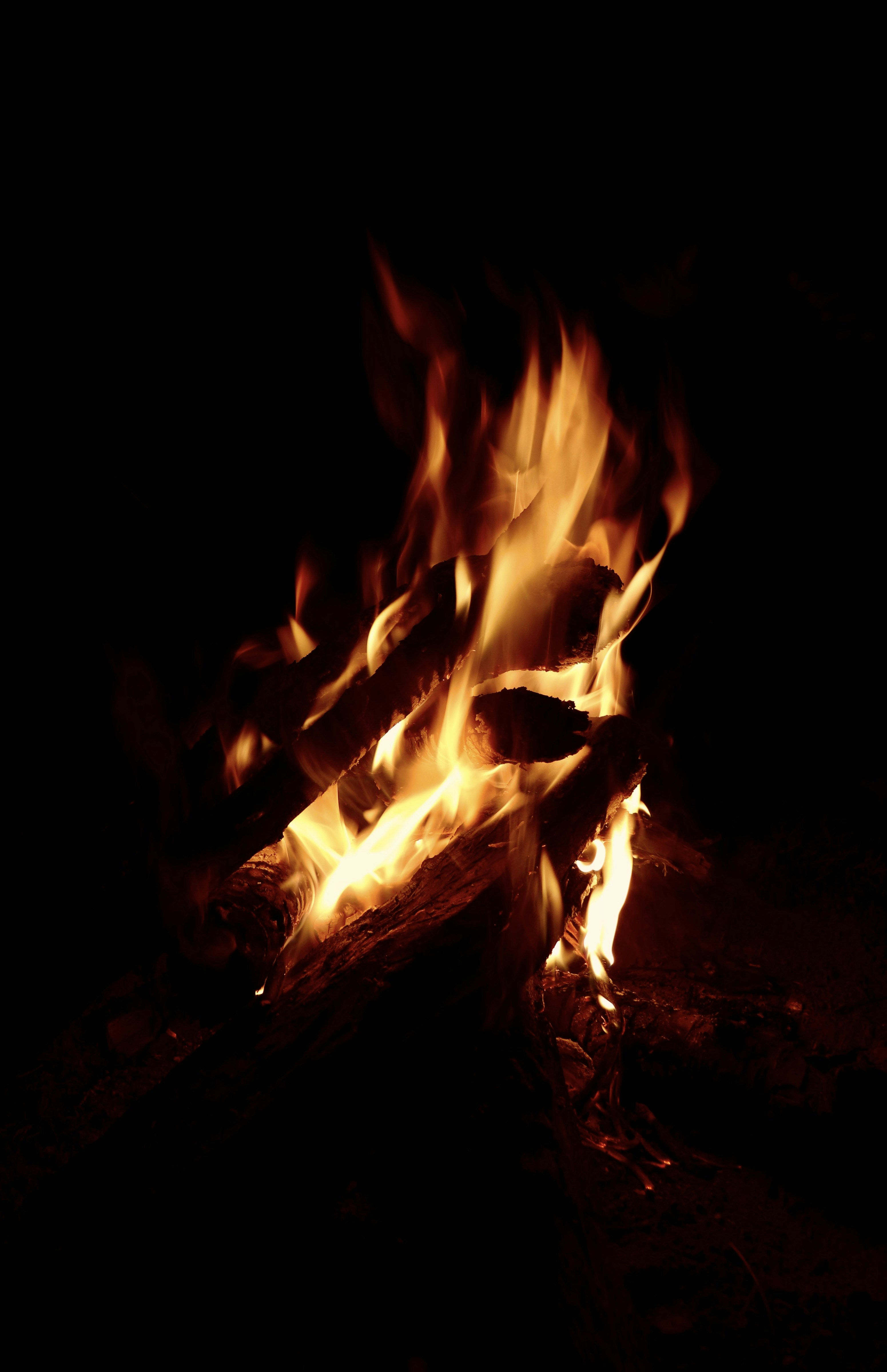 Photo by akashravuri