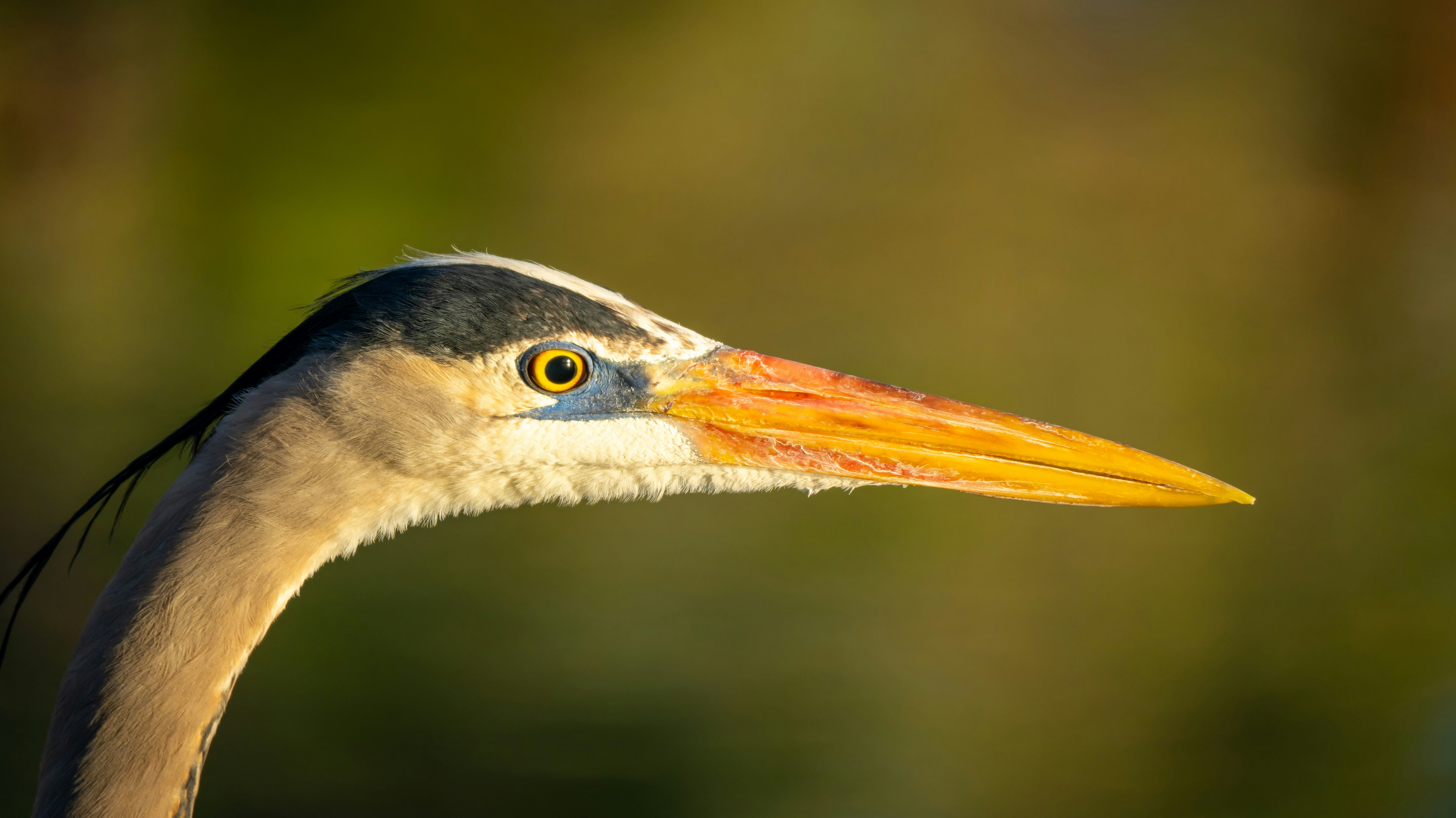 Photo by jcnonstop87