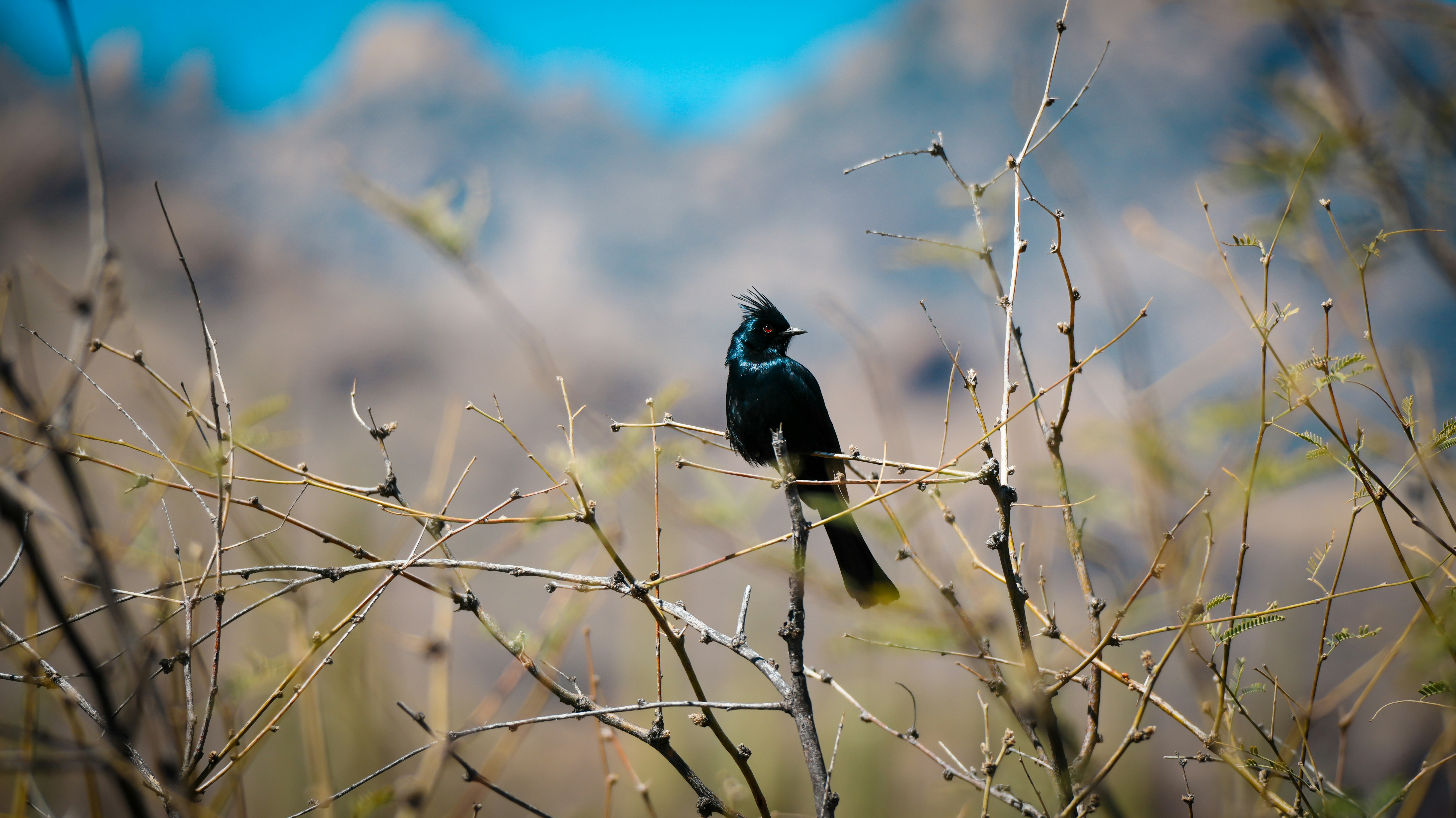 Photo by jcnonstop87