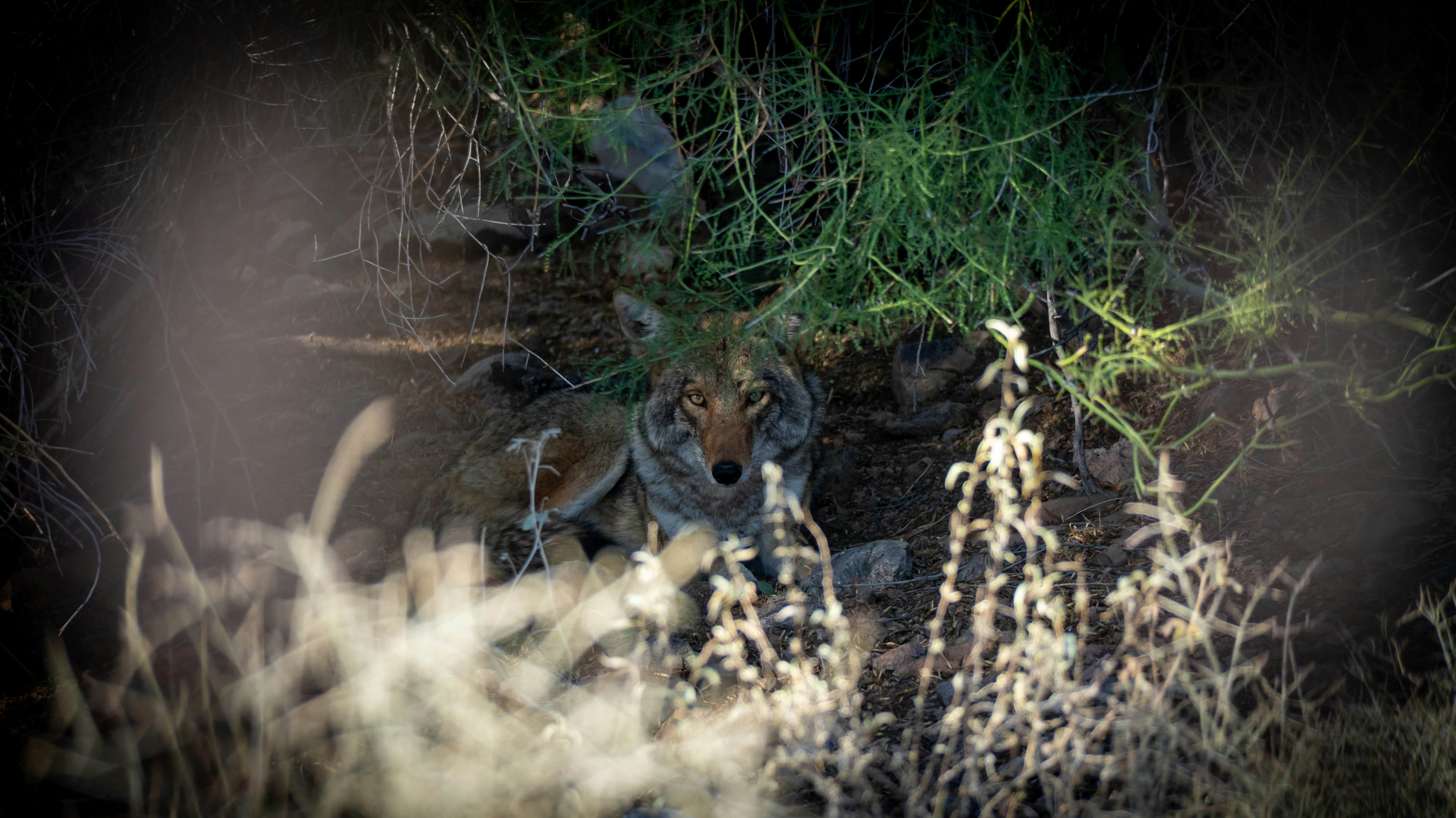 Photo by jcnonstop87