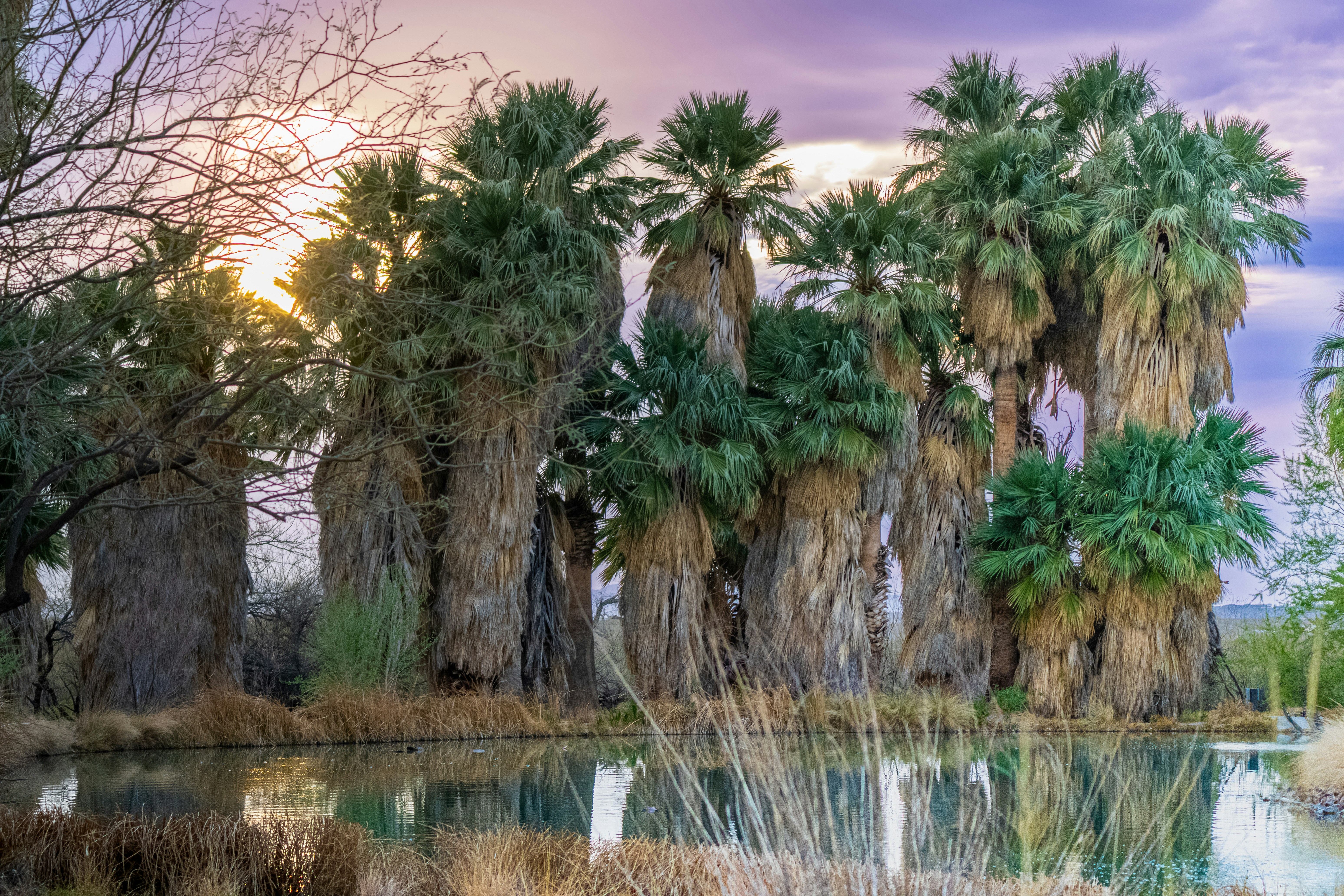 Photo by jcnonstop87