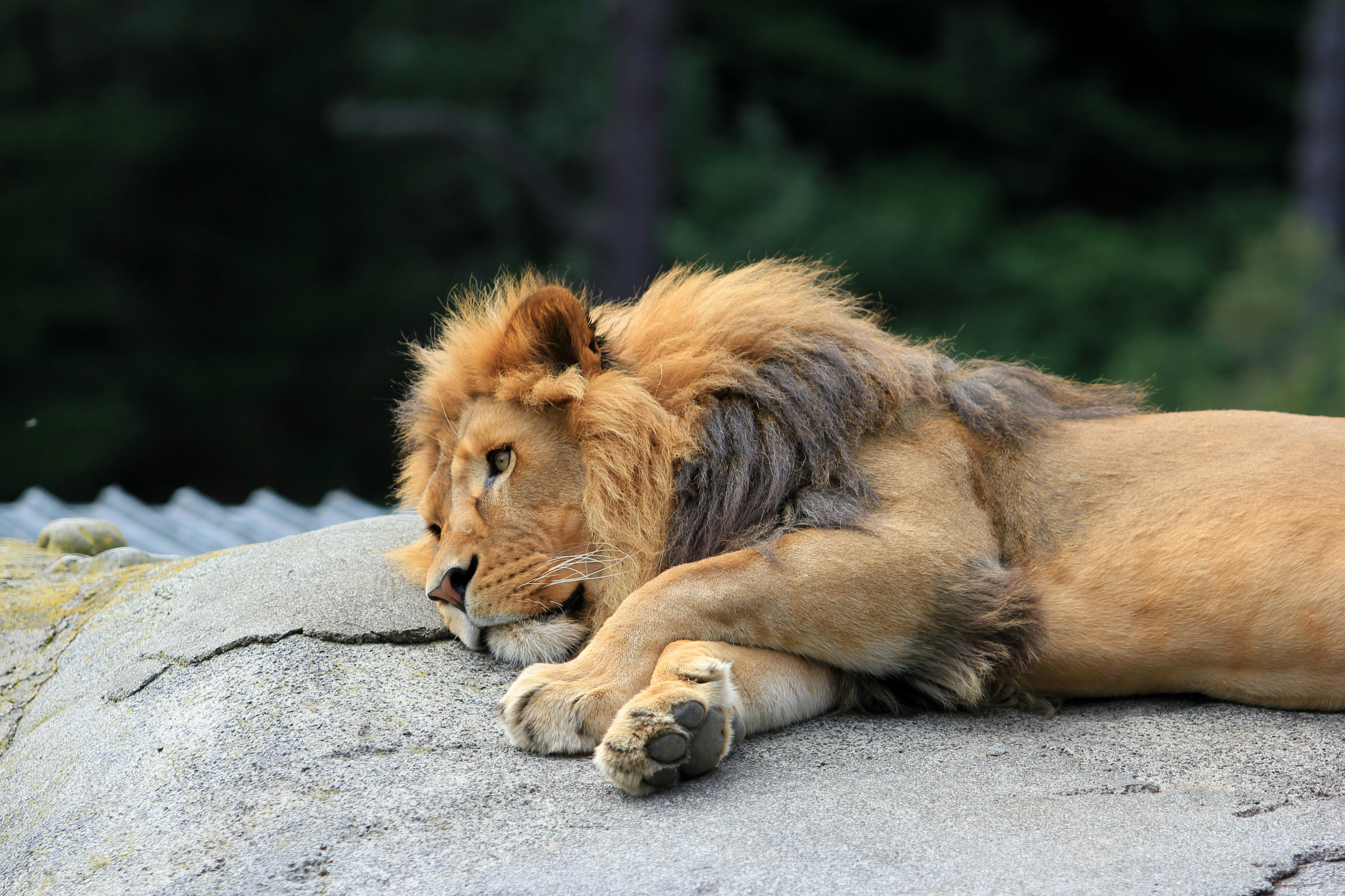 Energy Conservation: Moving Only When Necessary (image credits: unsplash)