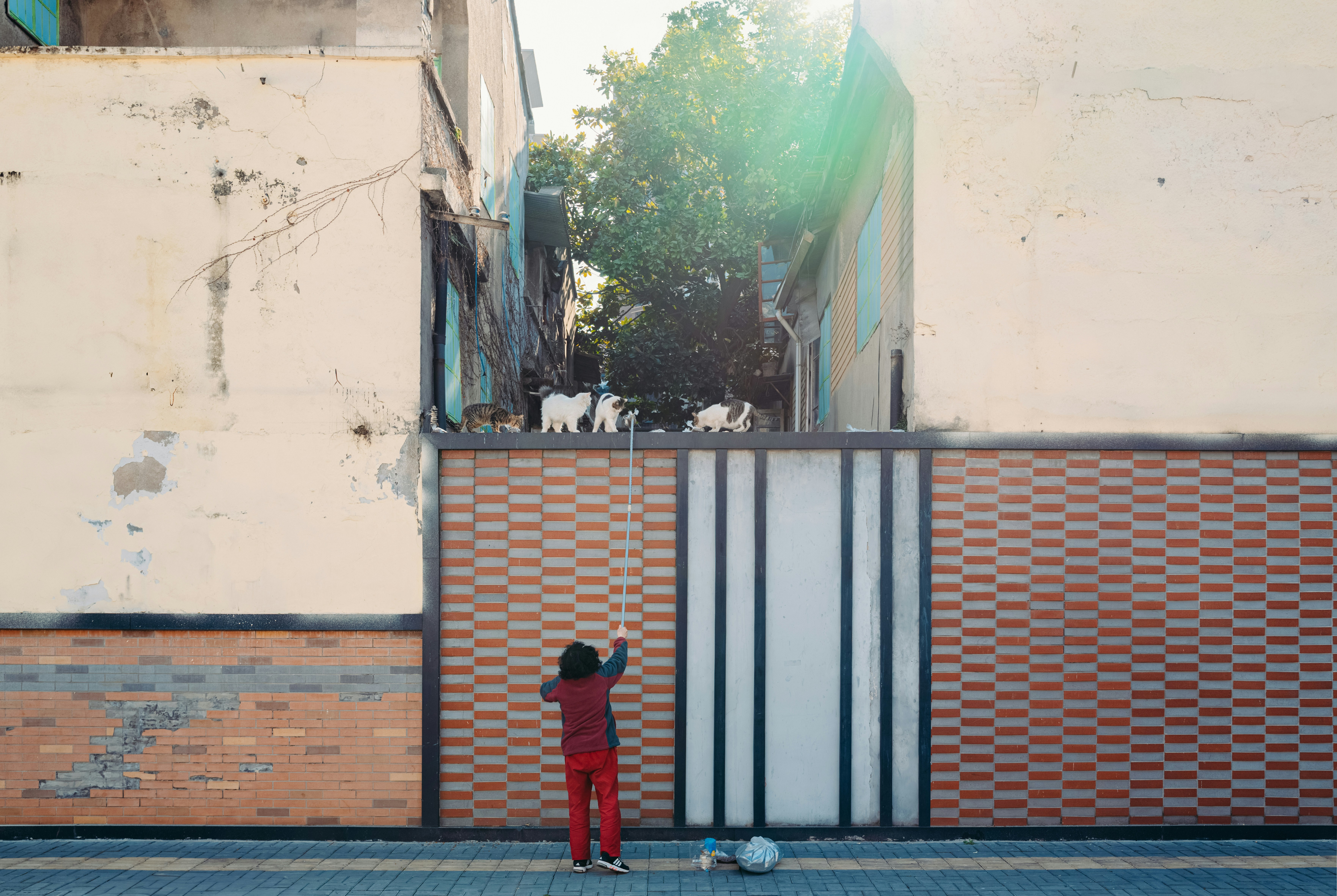 Una persona alcanza algo por encima de una pared.