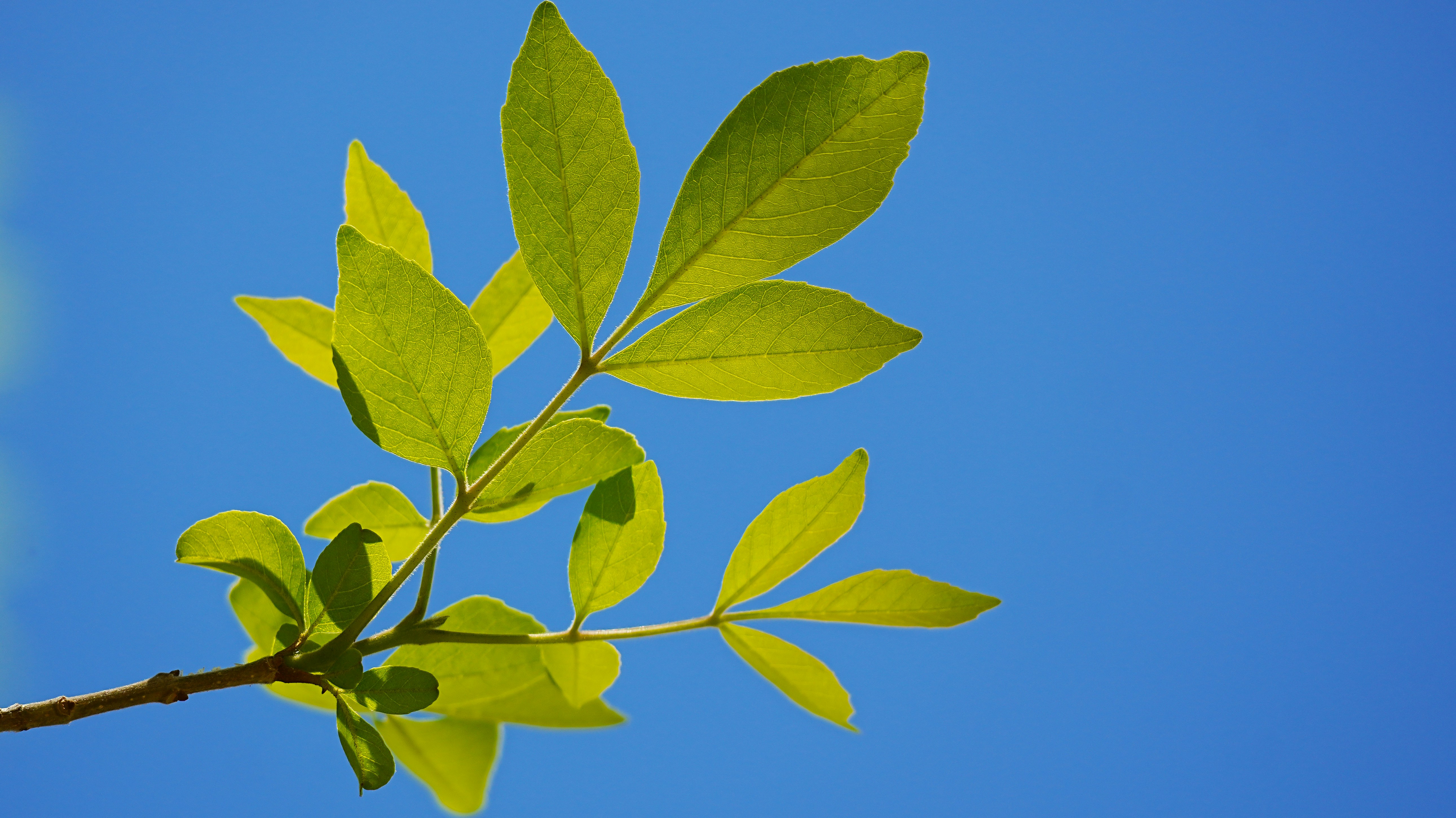 Photo by jcnonstop87