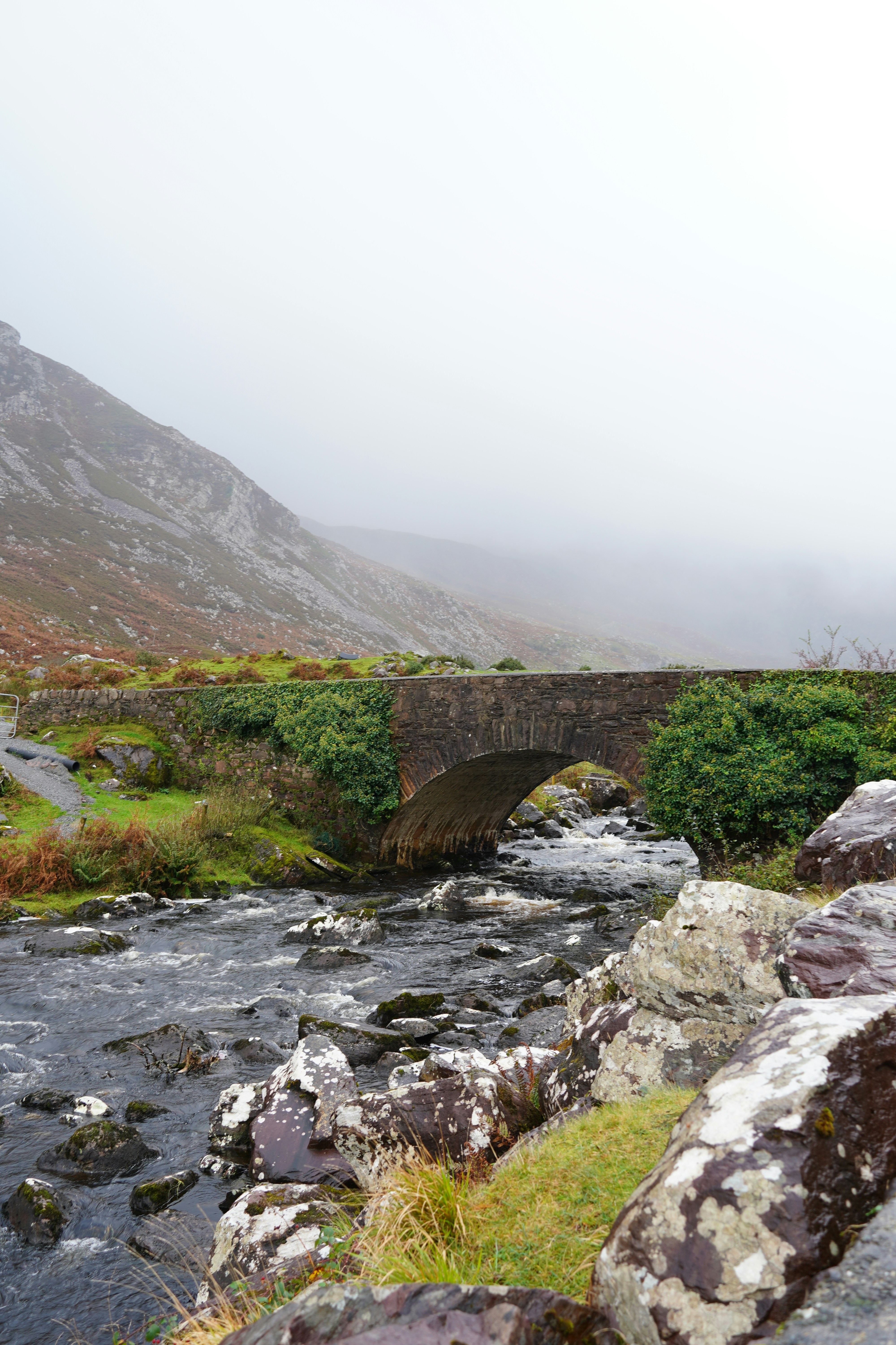 Photo by ellenkendall