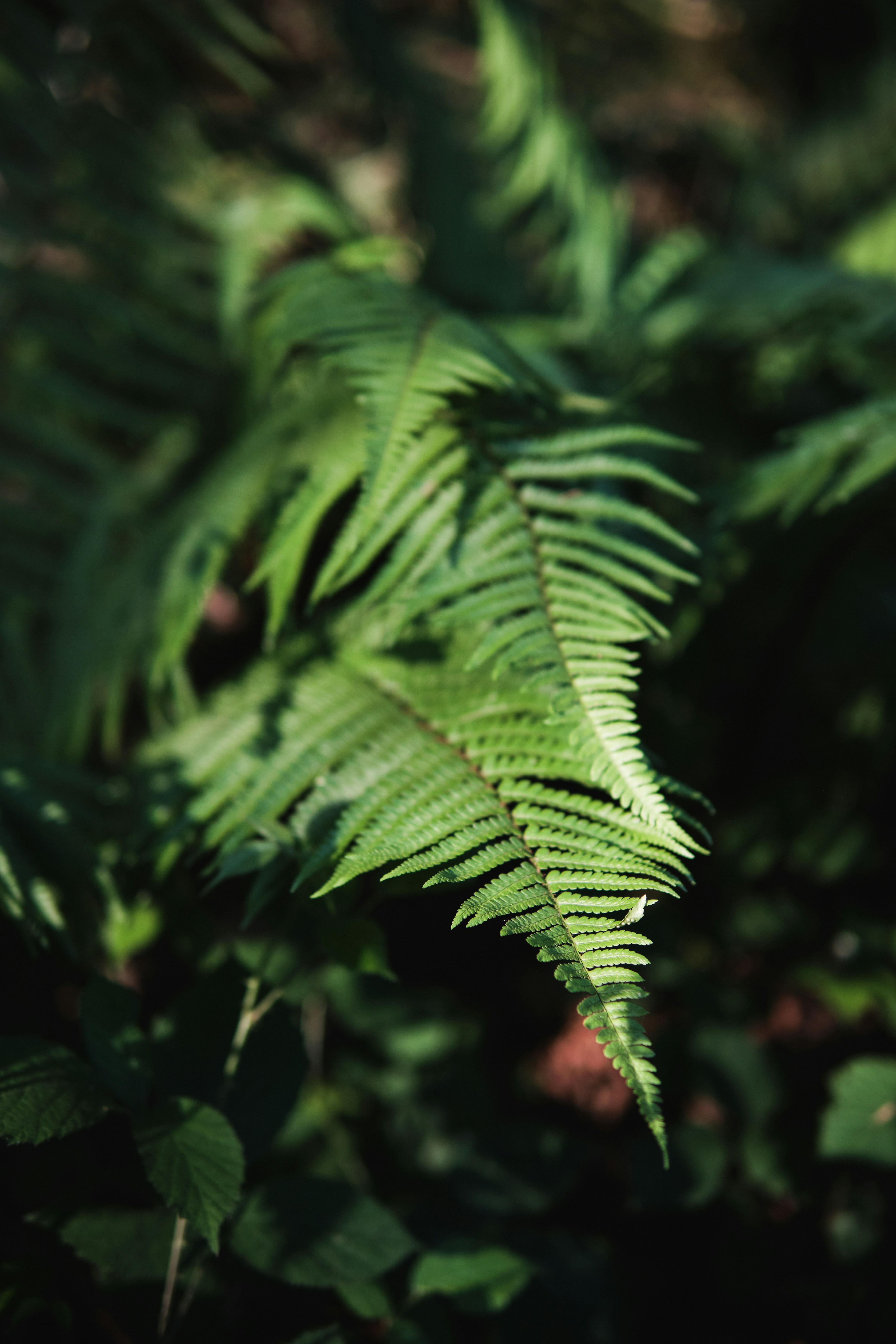 Photo by damiendufourphotographie