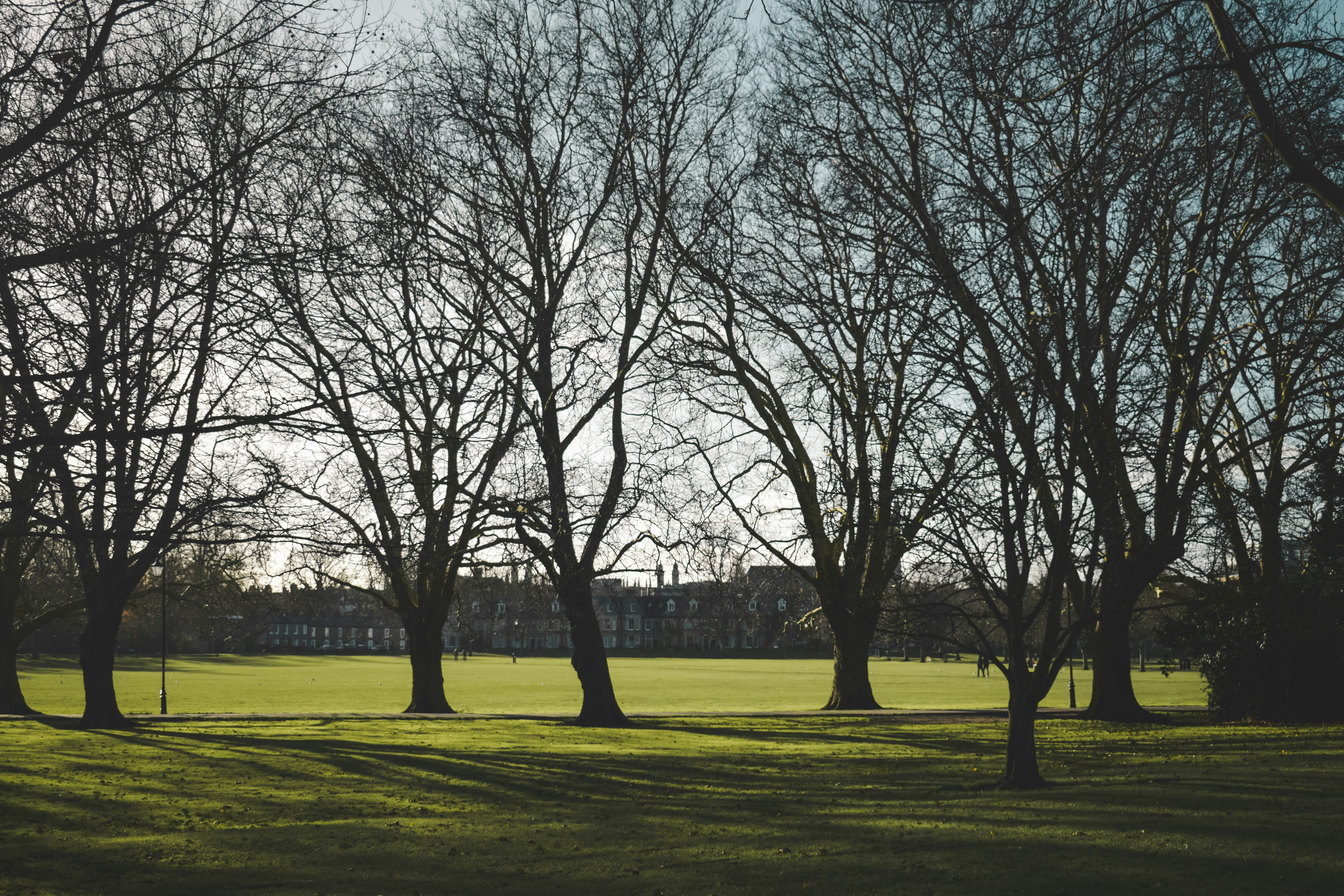 Photo by timeless_postcards