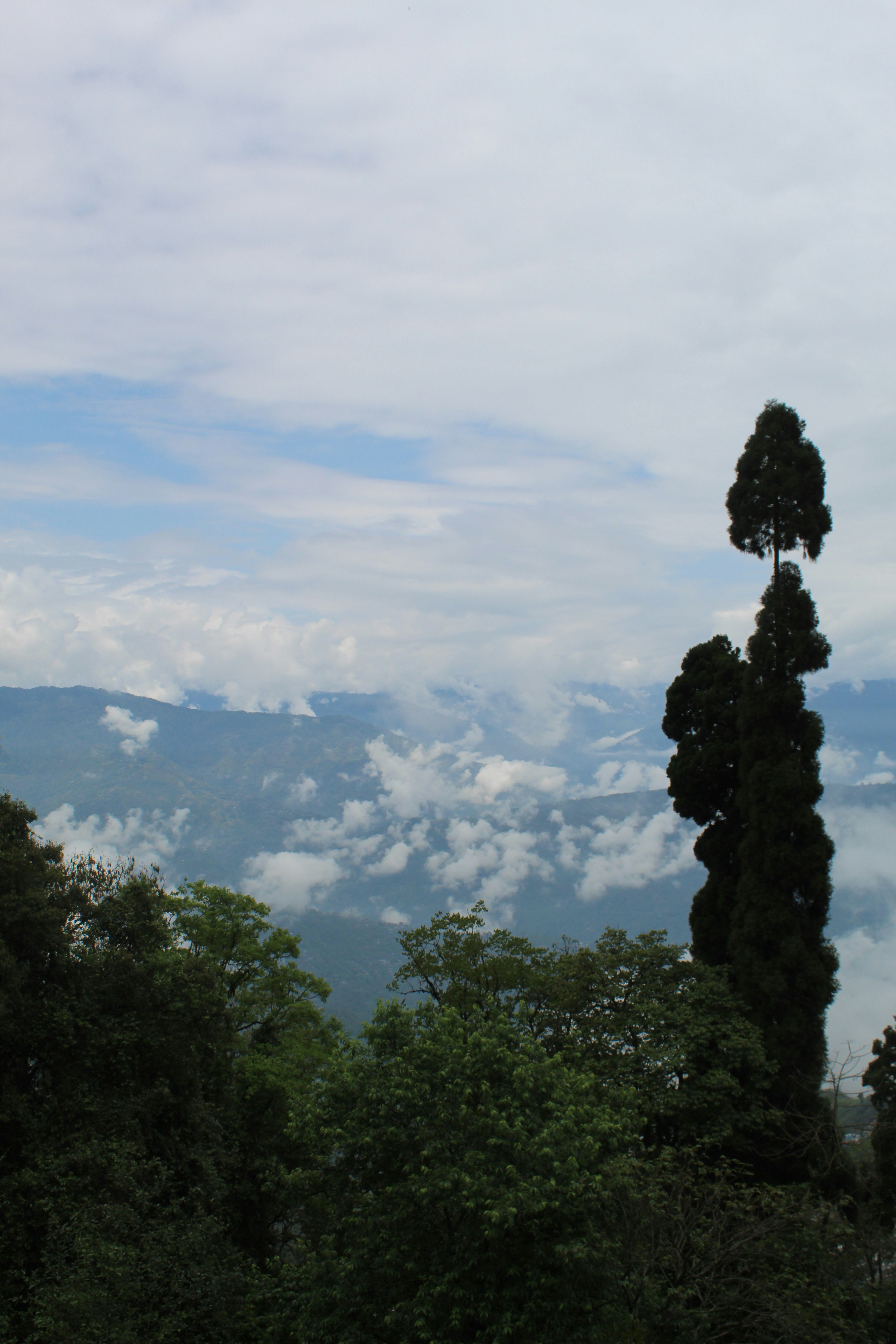 Con vistas a un paisaje montañoso con un cielo nublado.