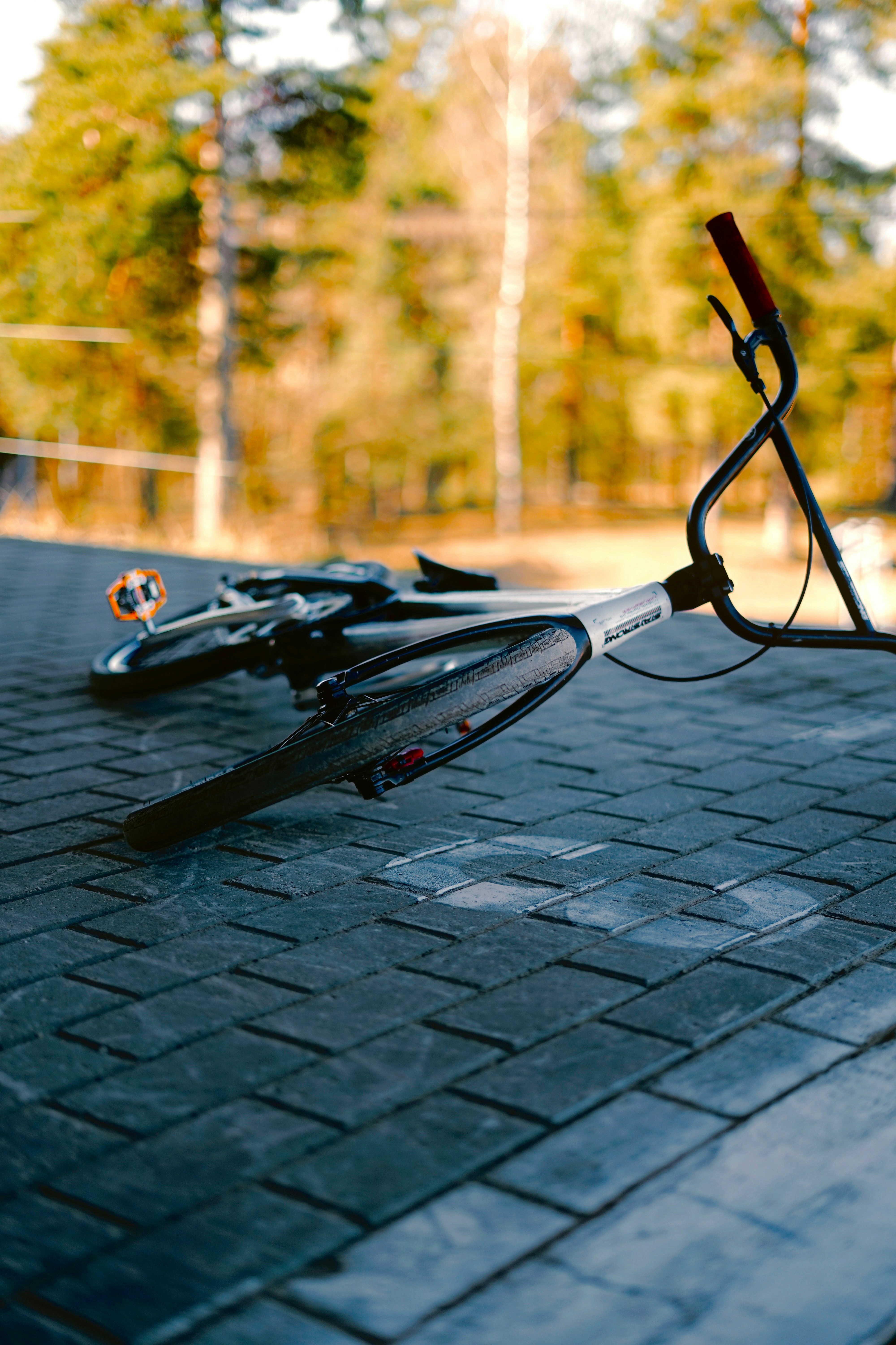 Photo by Ansis Kančs on Unsplash