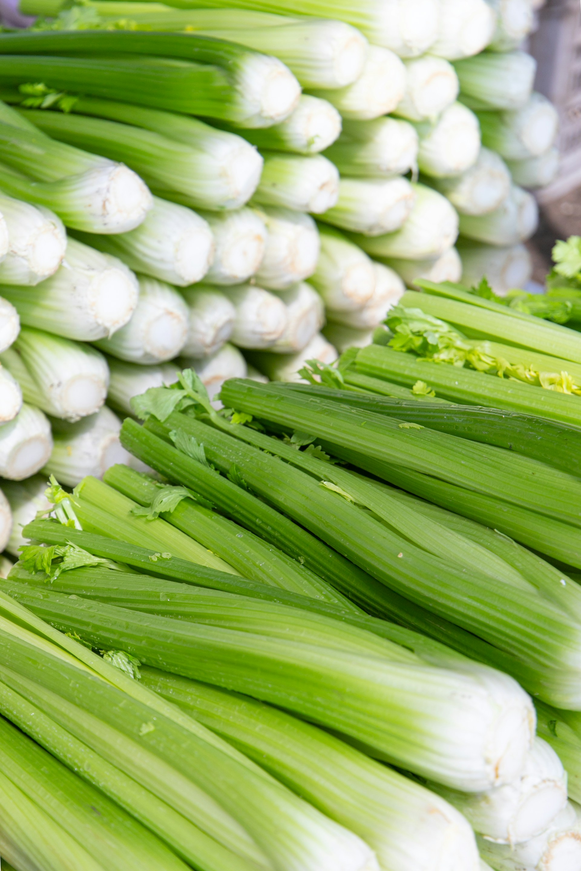 Fresh celery is stacked and ready for sale.