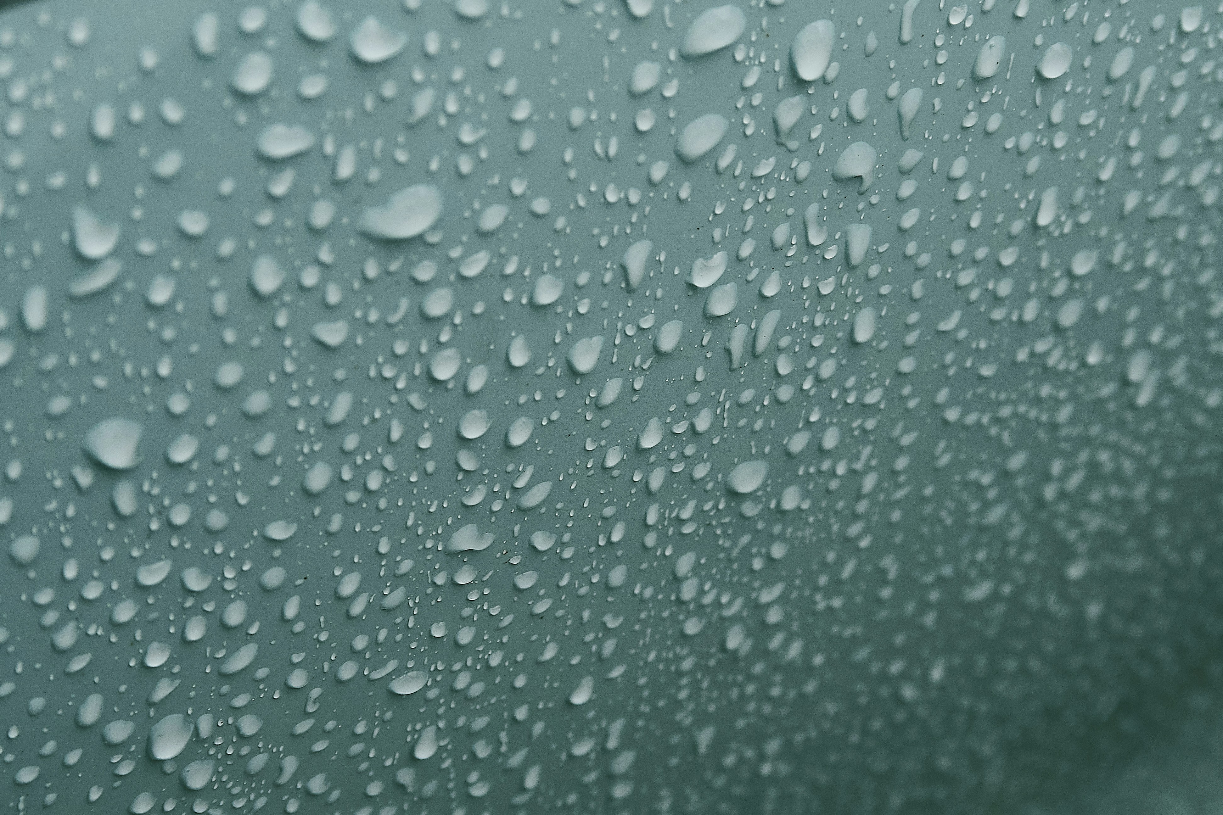 Photo by sapporo2025