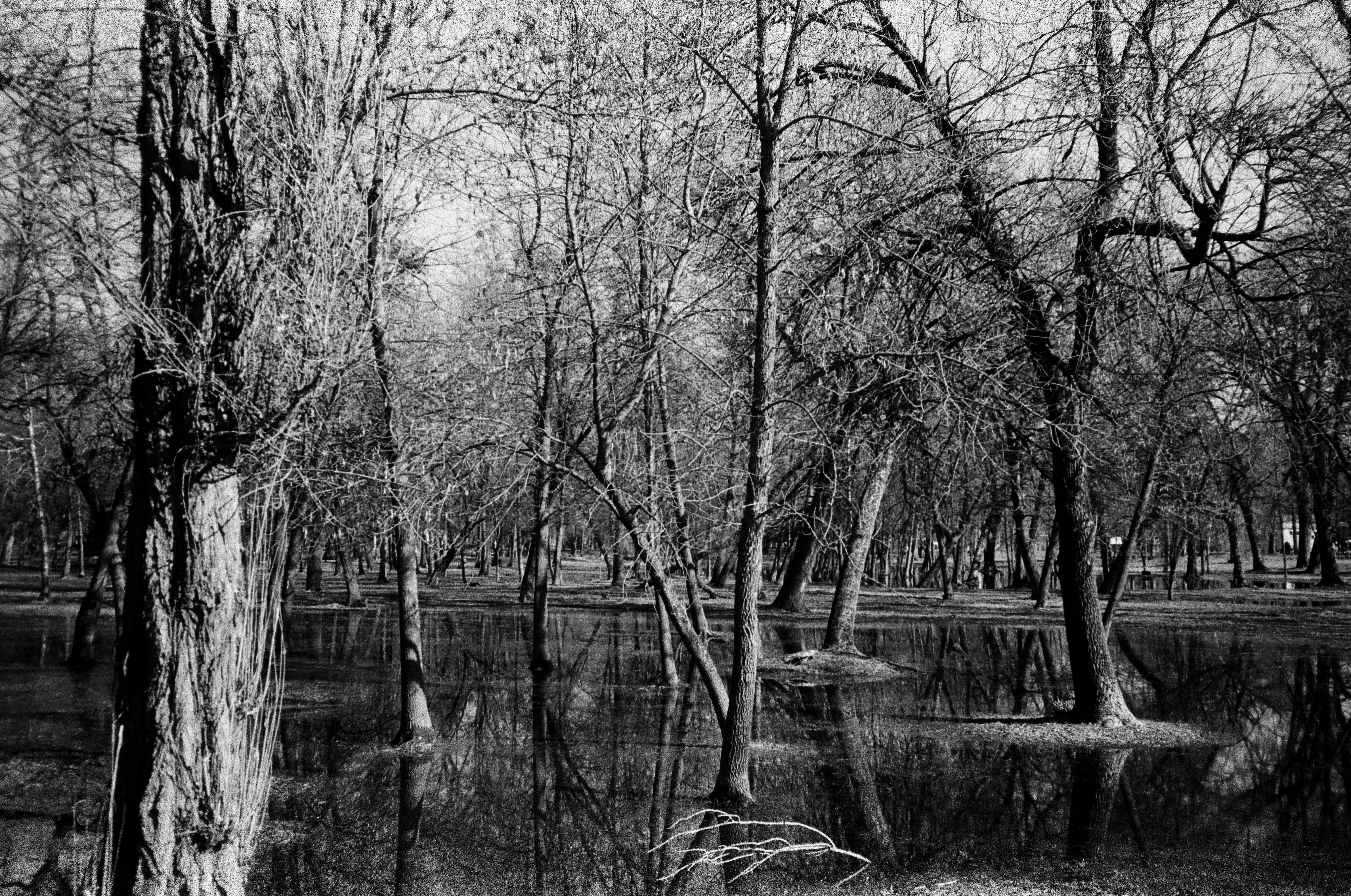 Photo by taras_mosya