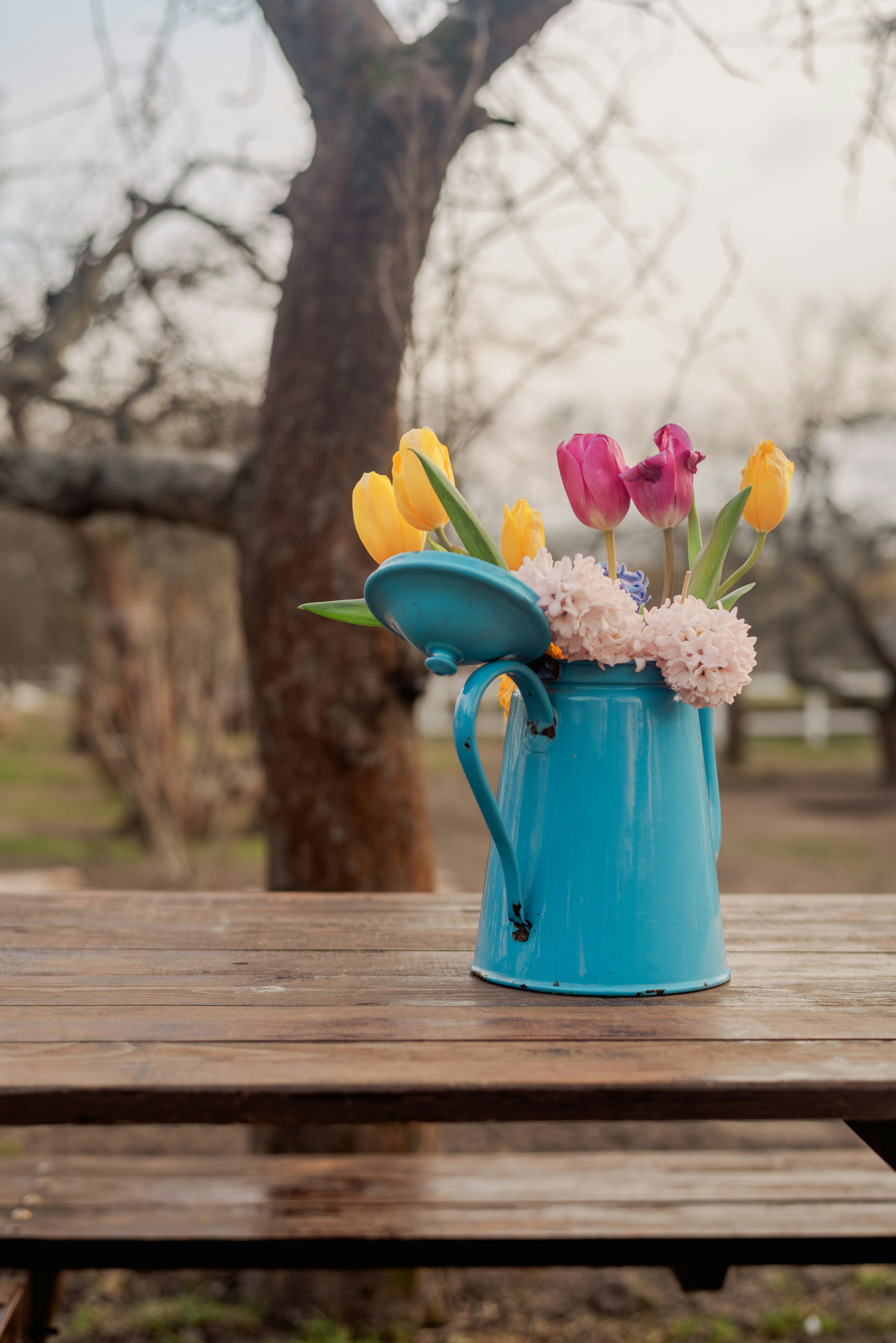 Flowers bloom beautifully in a blue watering can.