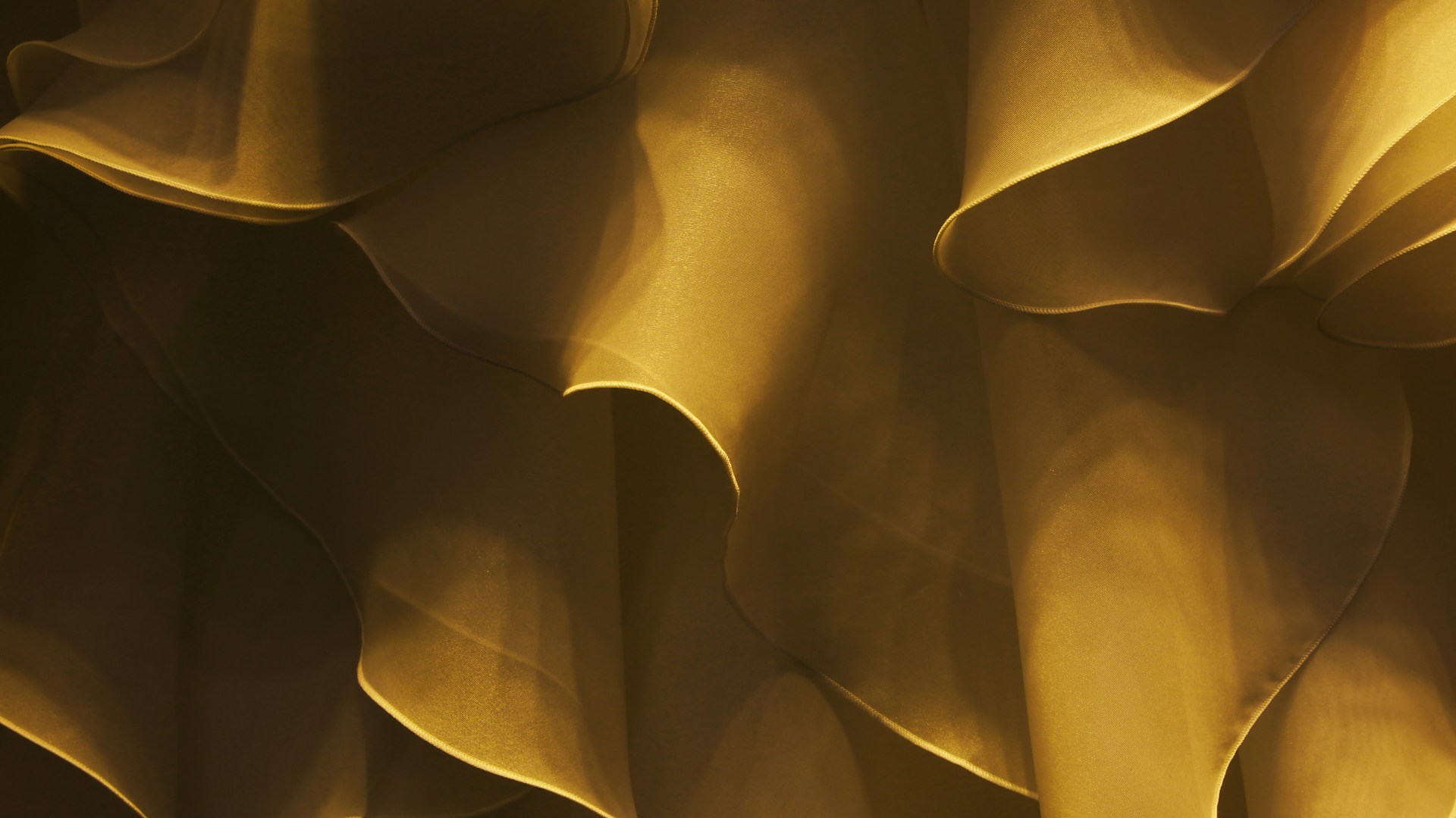 Abstract view of flowing, golden forms.