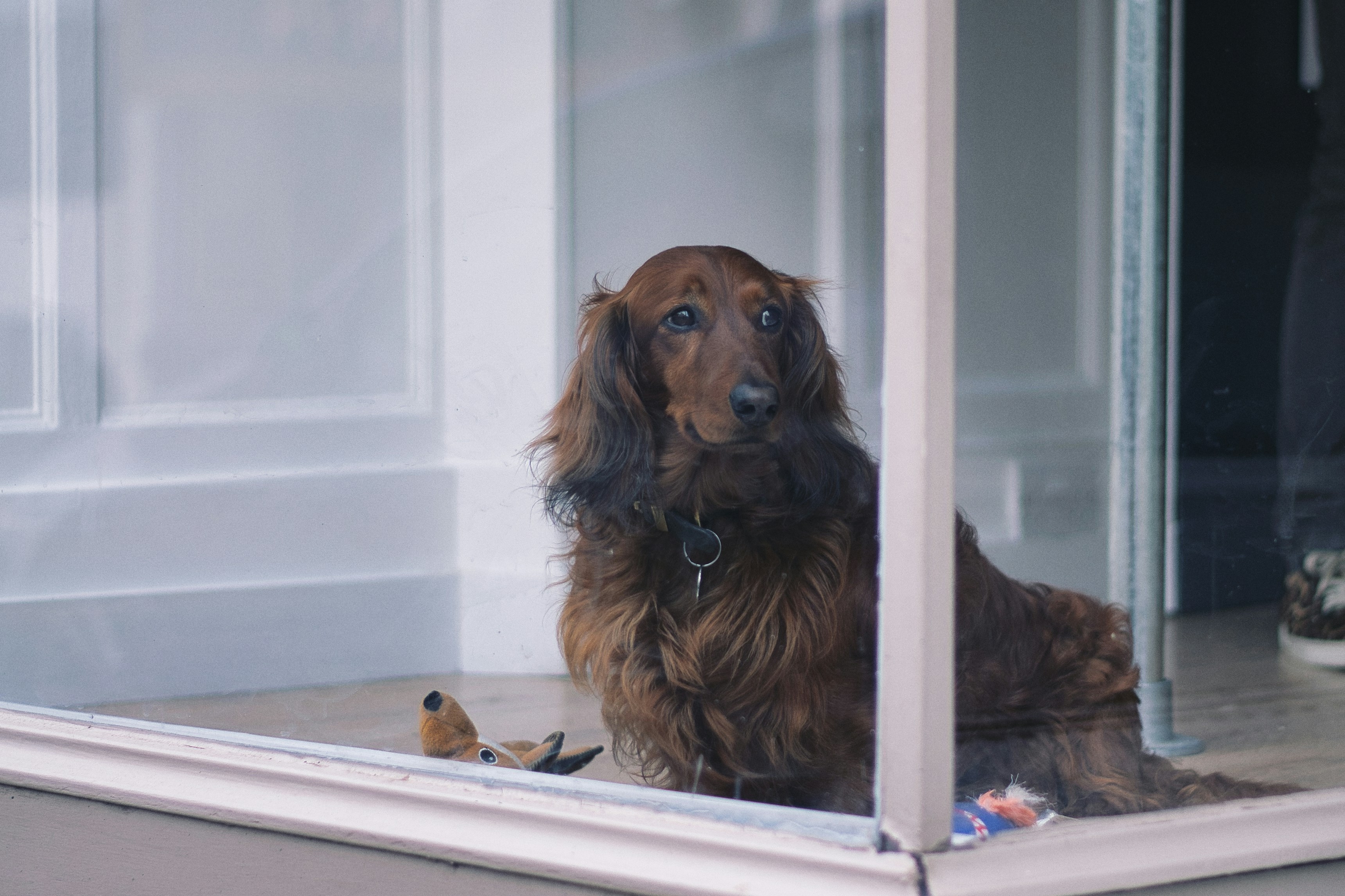 Photo by svenalleblas