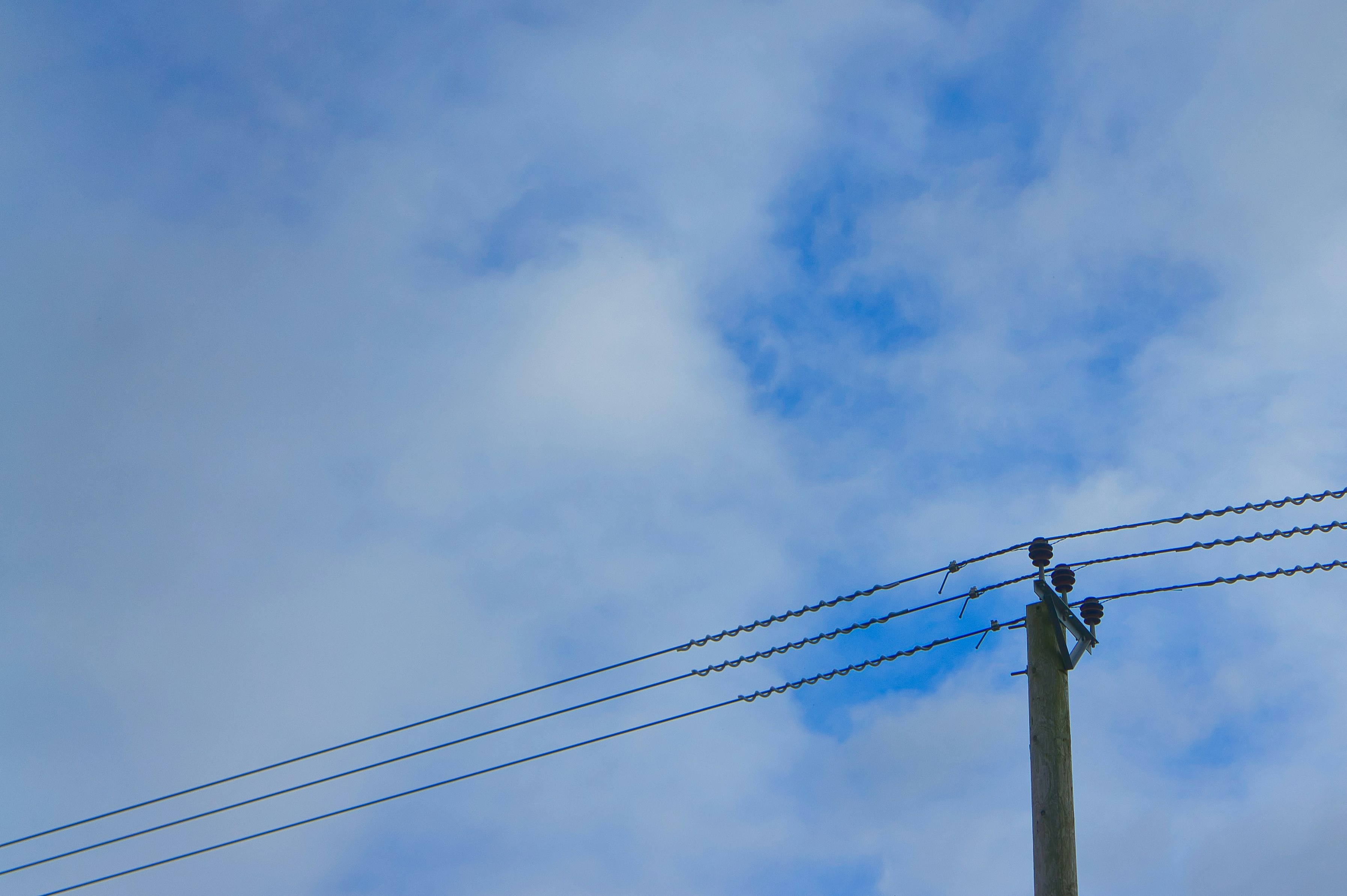 Photo by svenalleblas