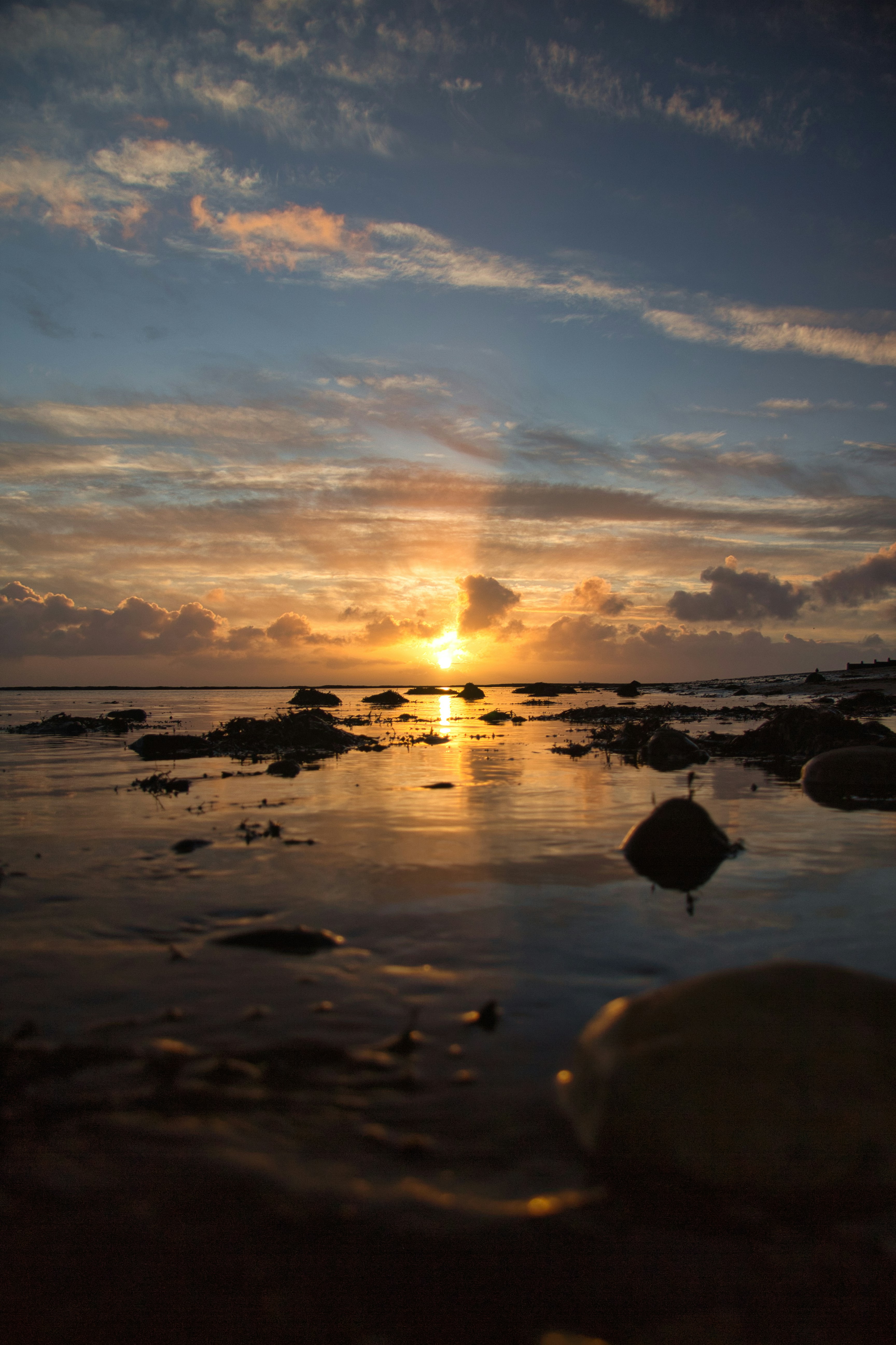 Photo by svenalleblas