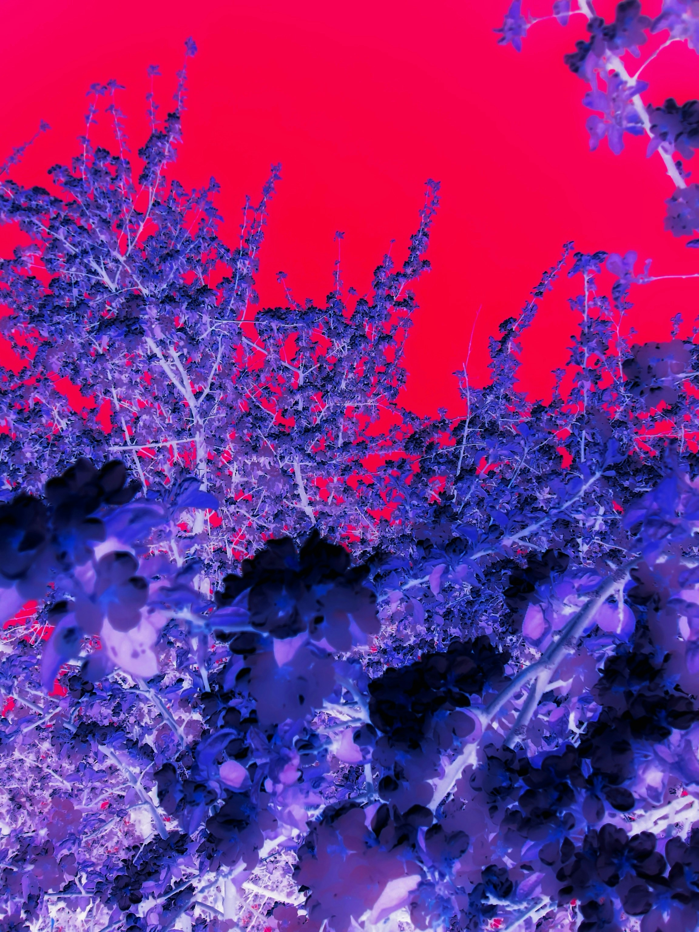 Photo by eugene_golovesov