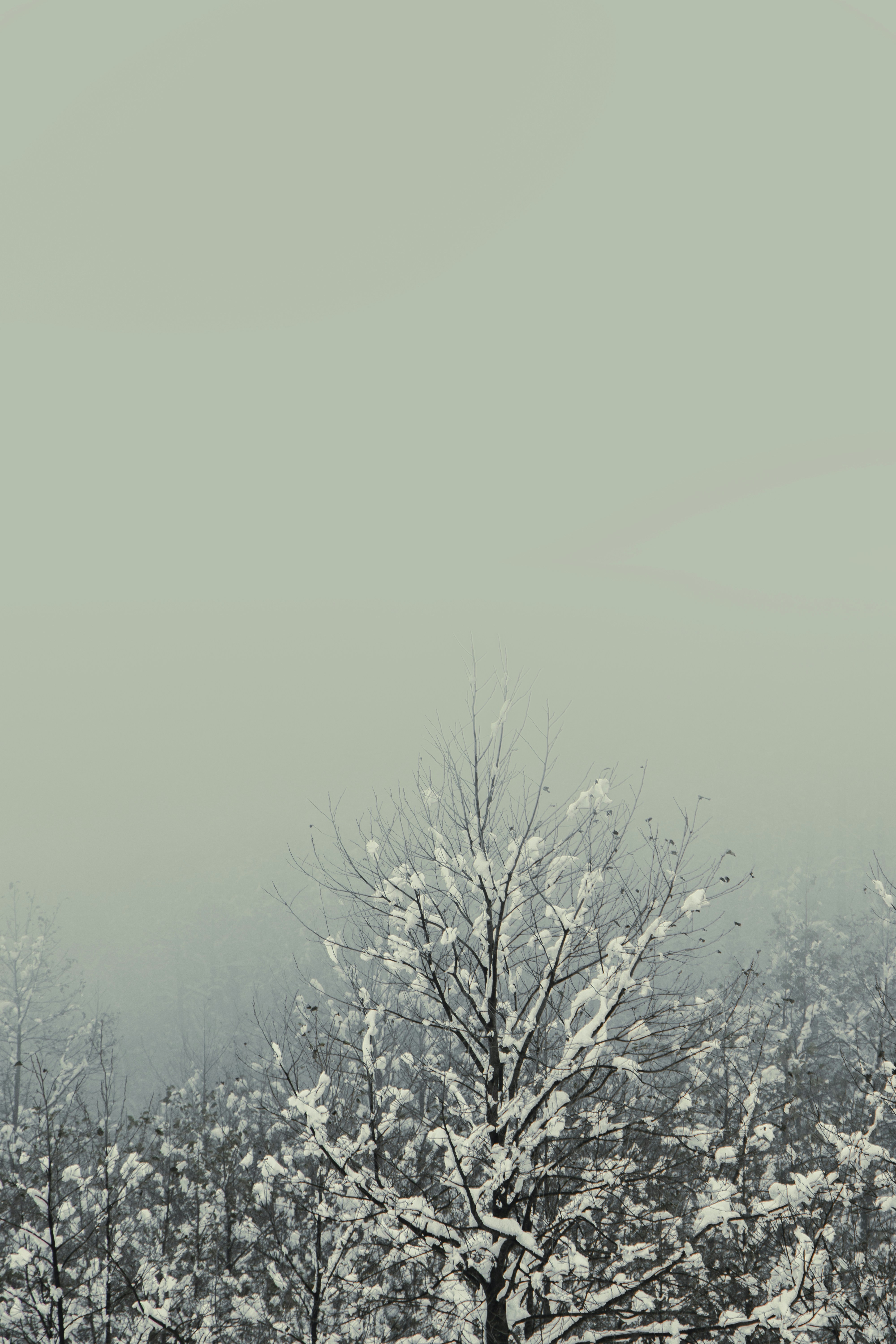 Photo by mahdibafande