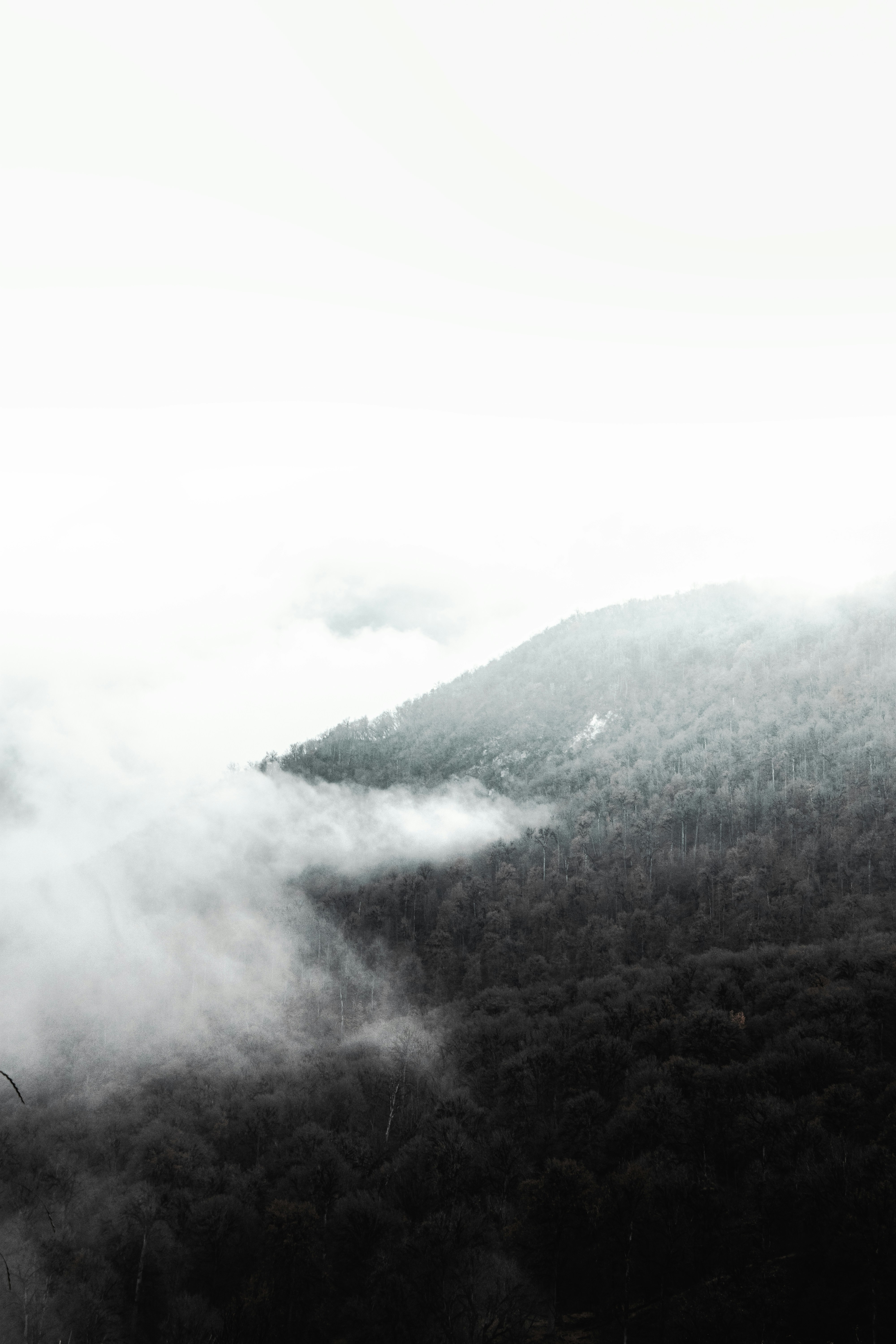 Photo by mahdibafande