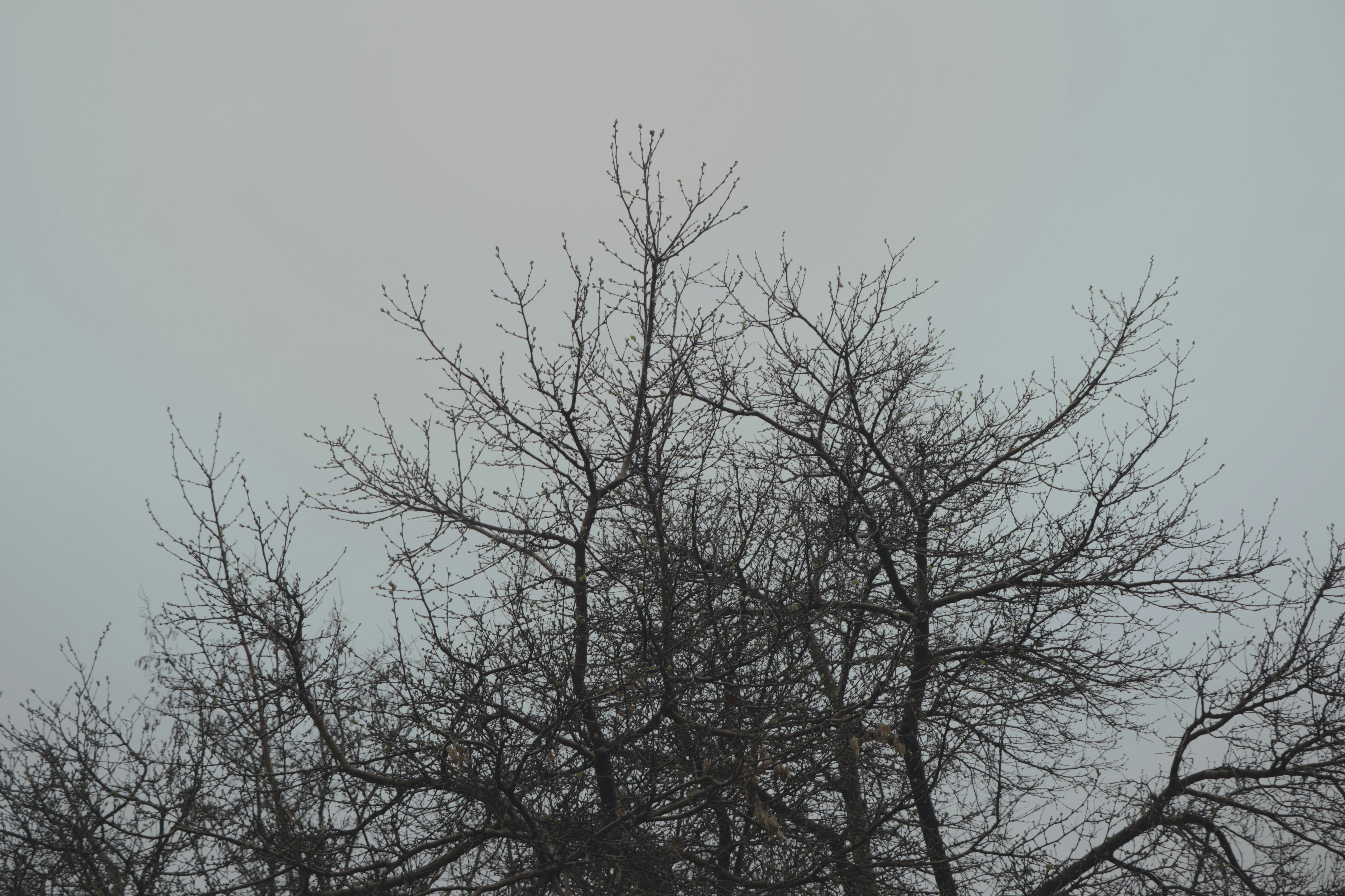 Photo by mahdibafande