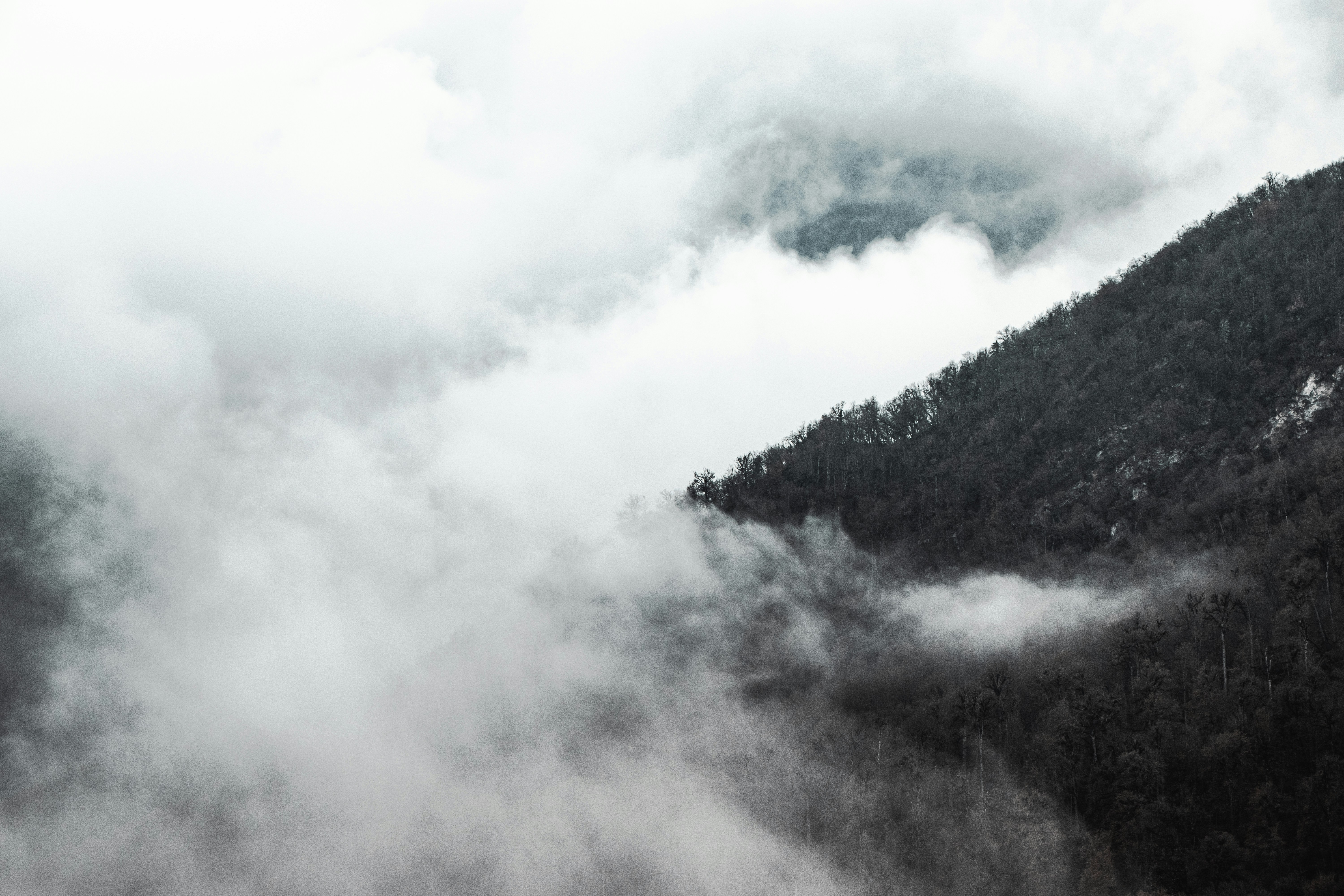 Photo by mahdibafande