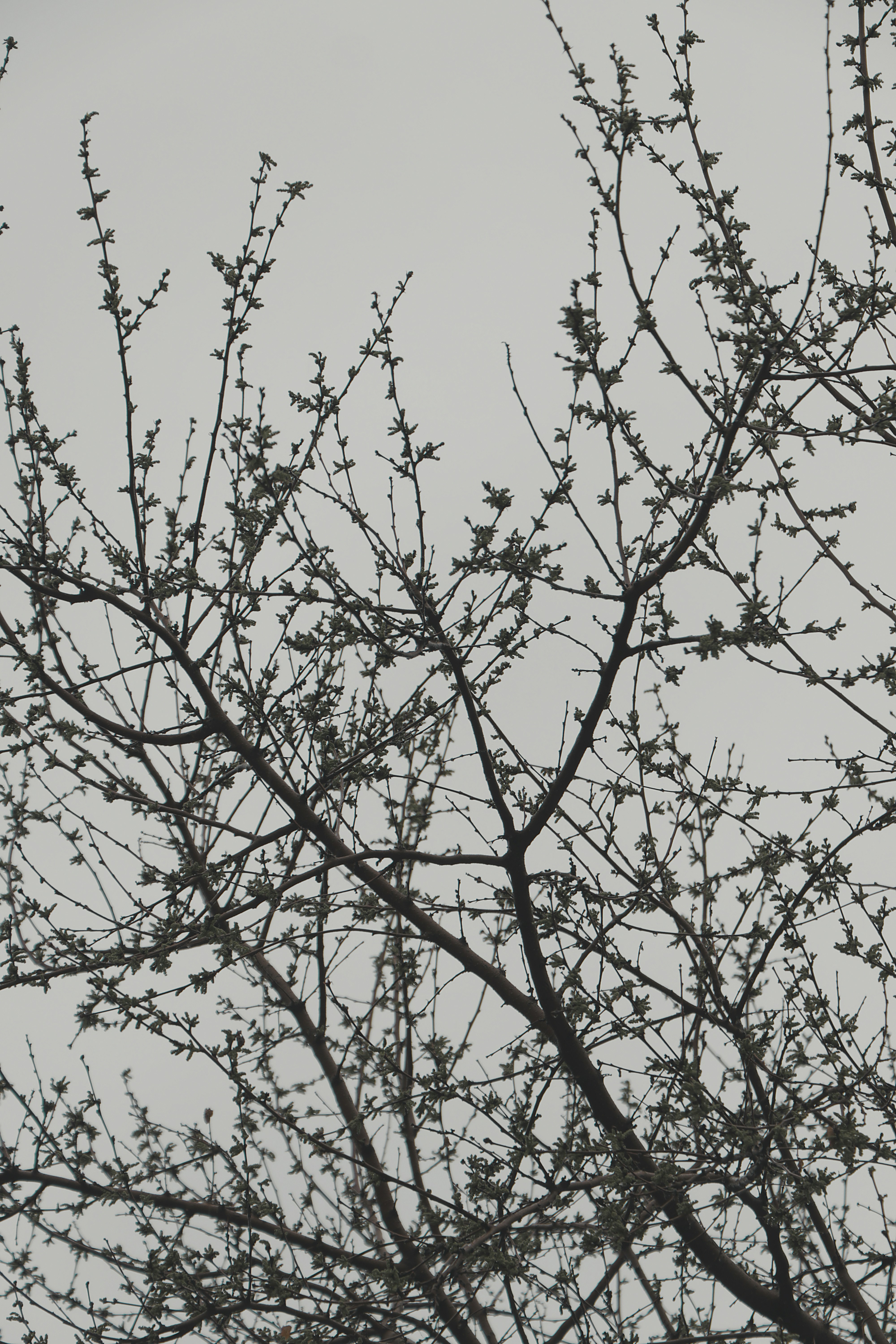 Photo by mahdibafande