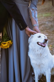 Couple pets a happy dog, close to sunflowers.