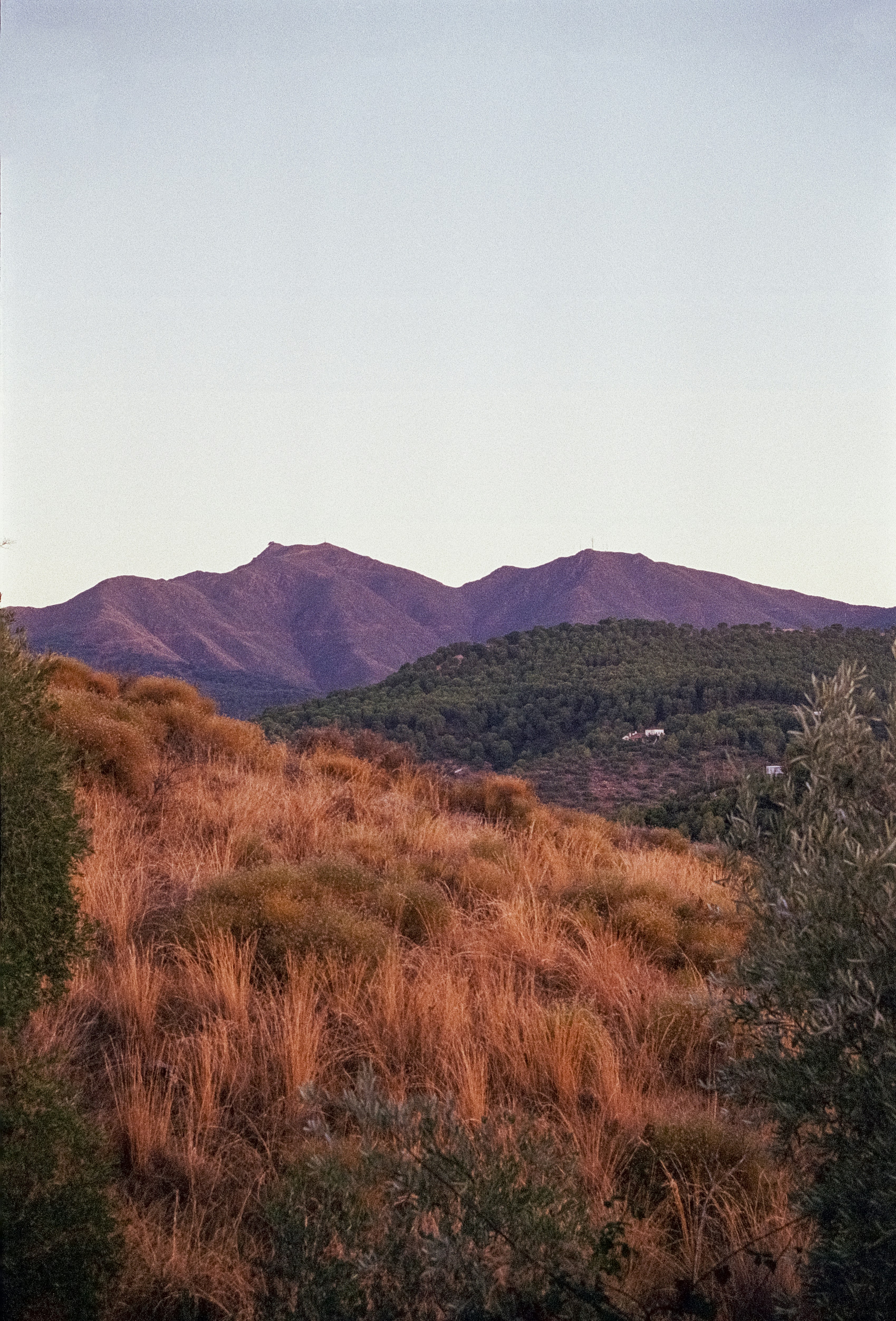 Photo by artistseyes