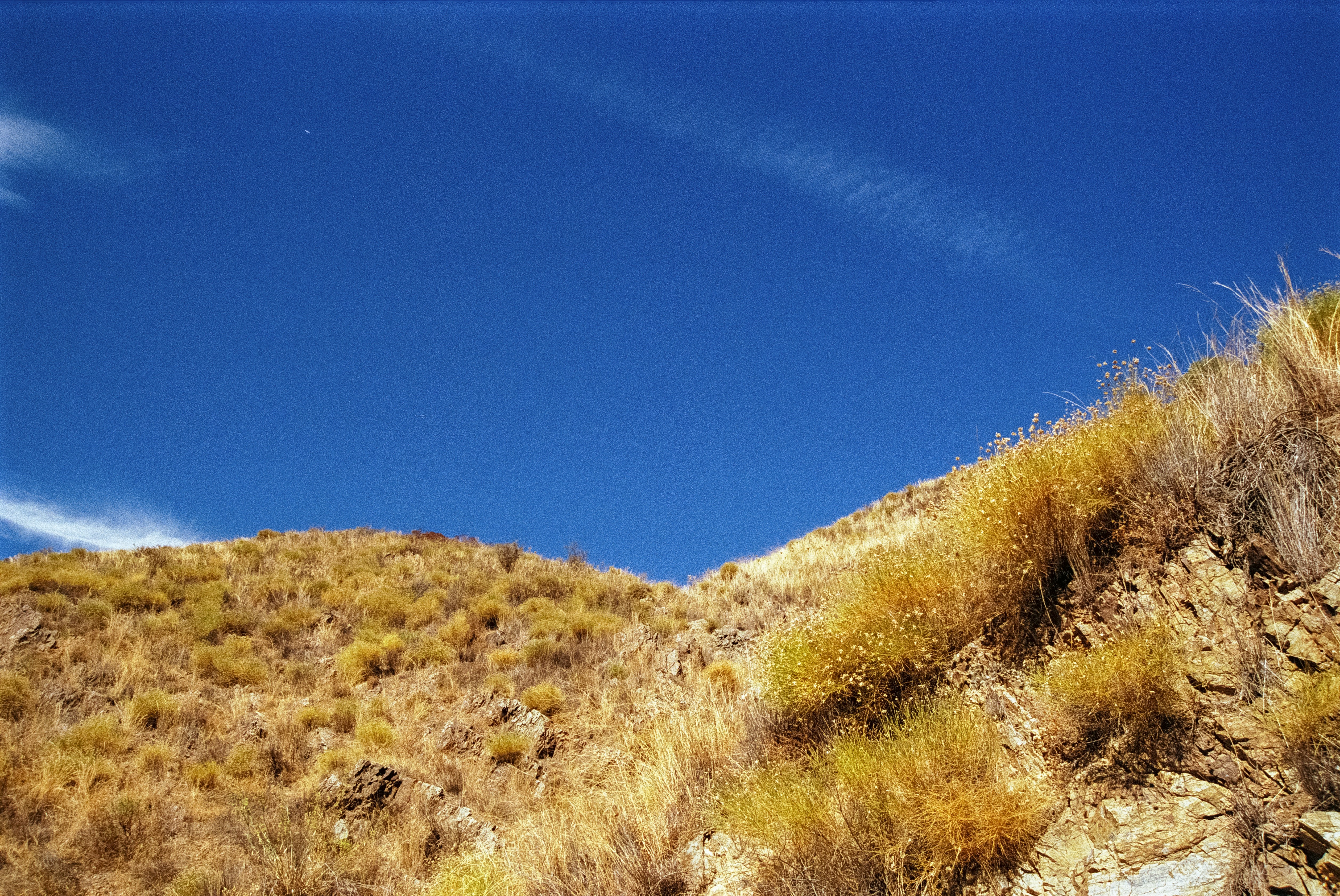 Photo by artistseyes