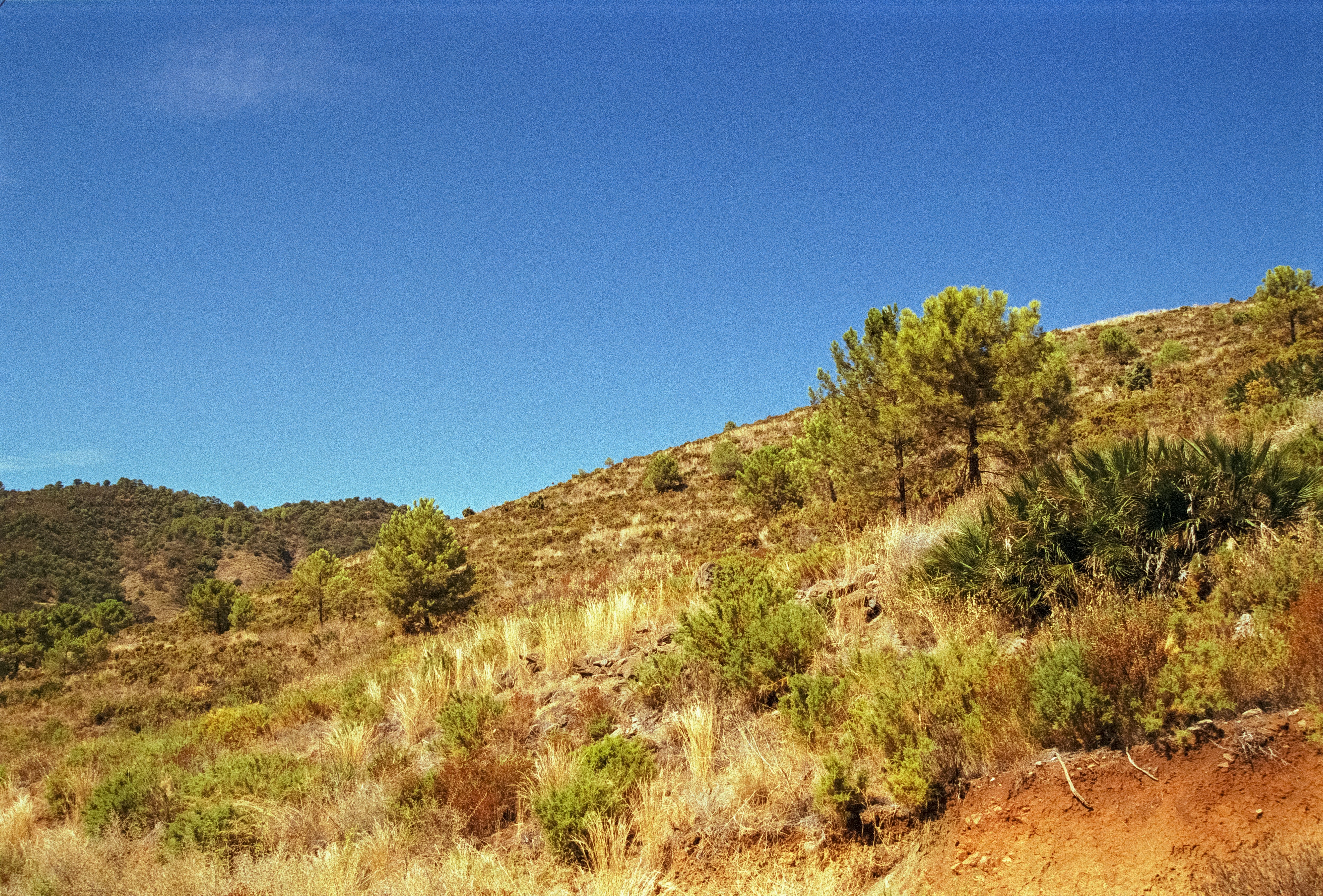 Photo by artistseyes