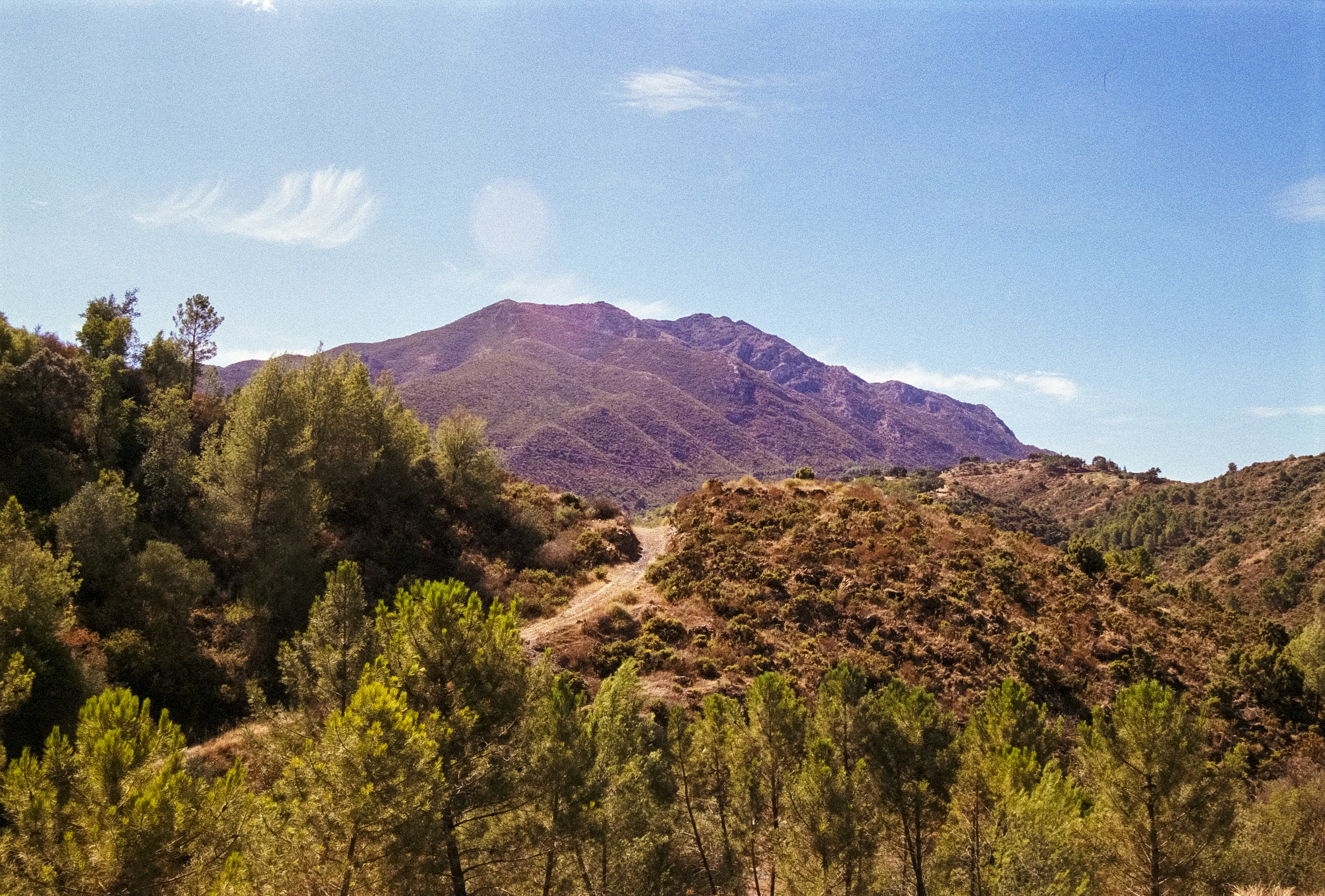 Photo by artistseyes