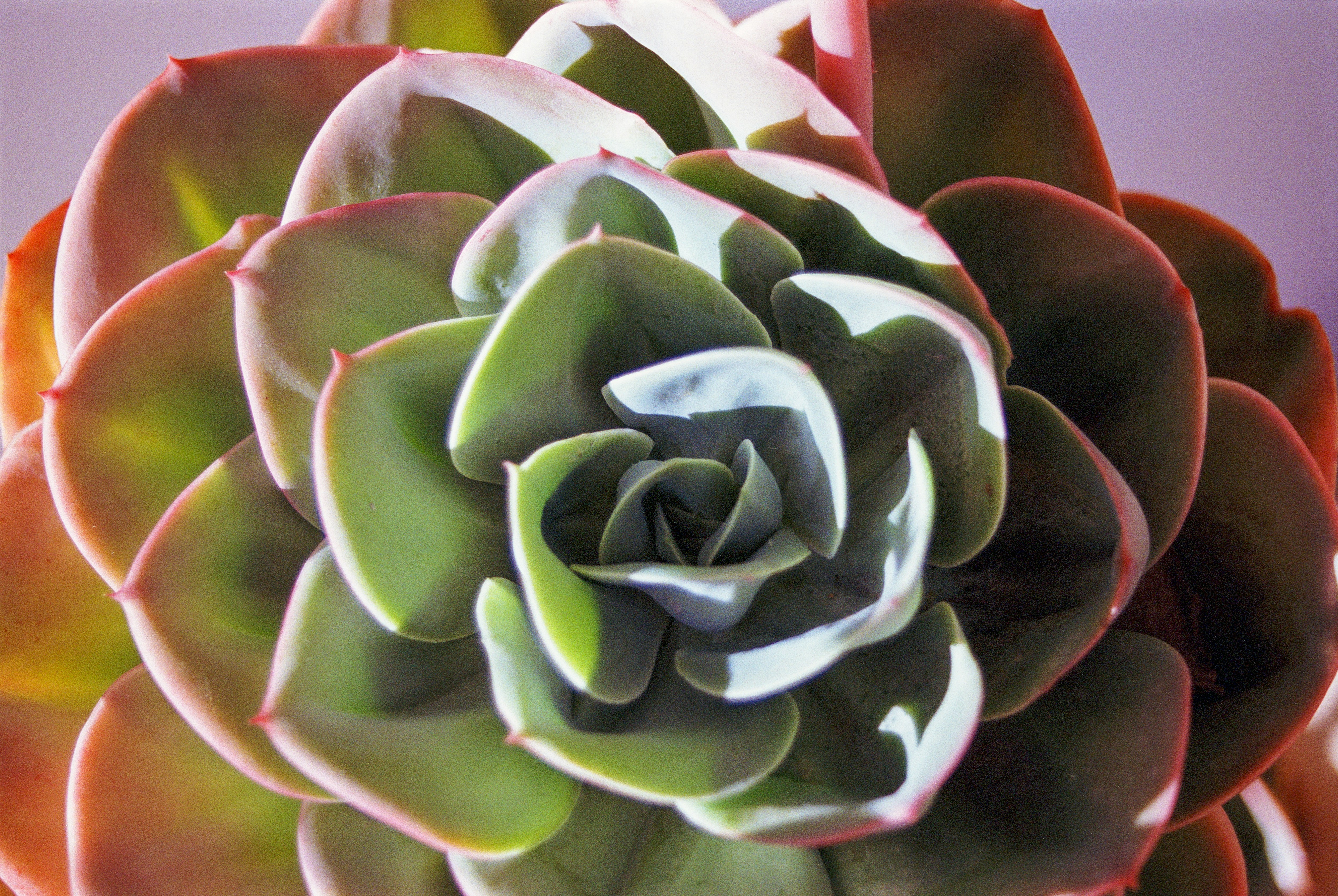 Photo by artistseyes