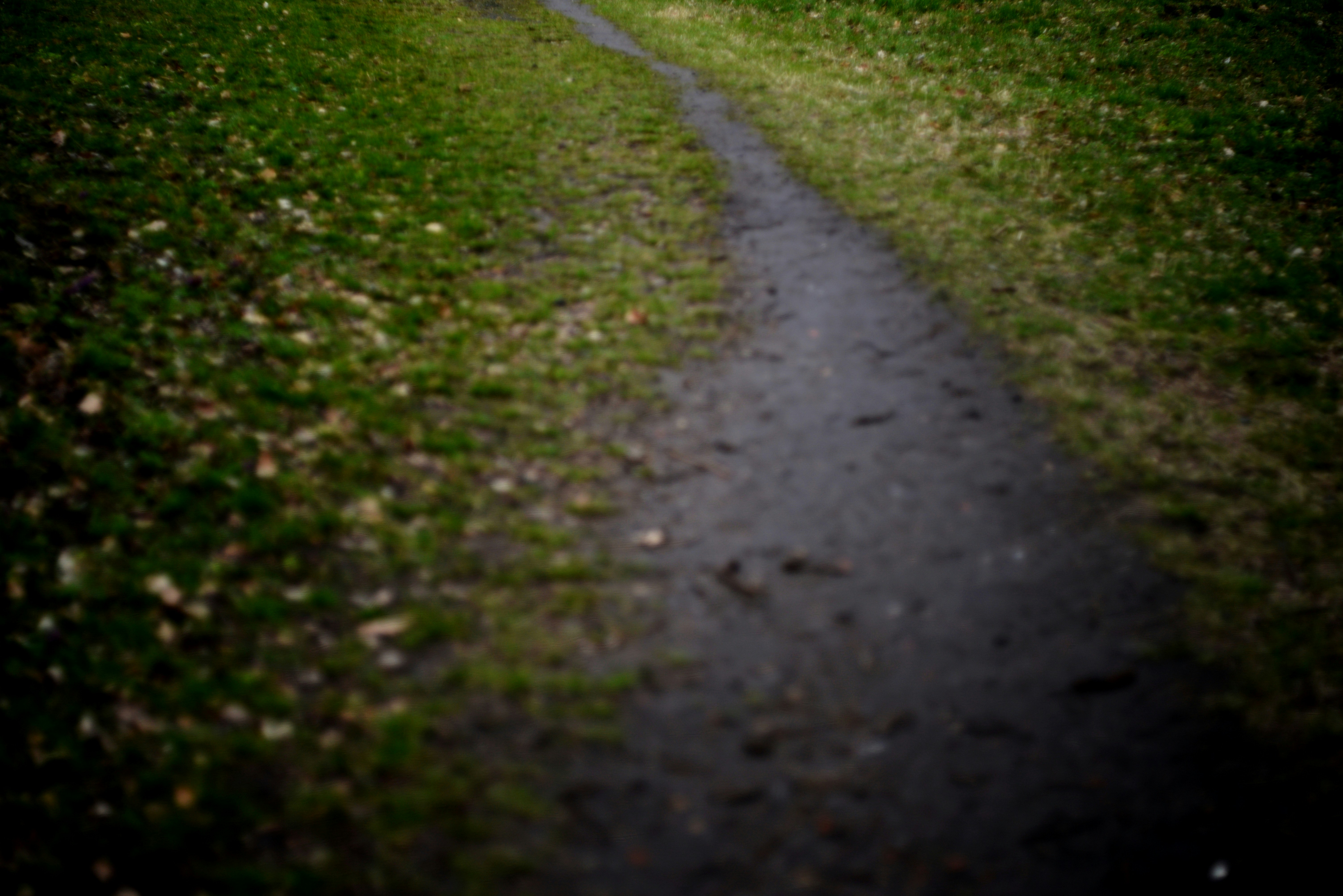 Photo by cherstve_pechivo