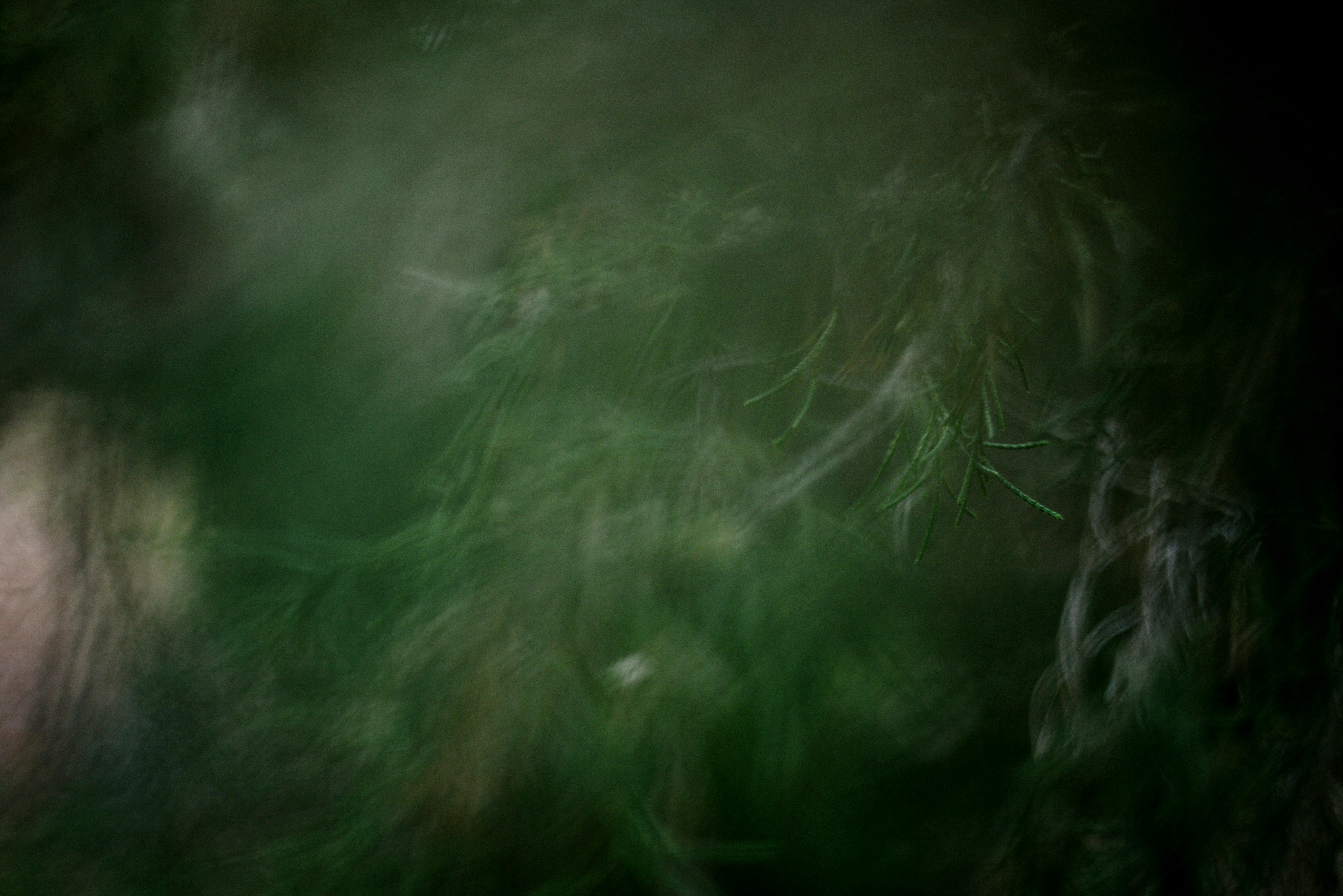 Photo by cherstve_pechivo