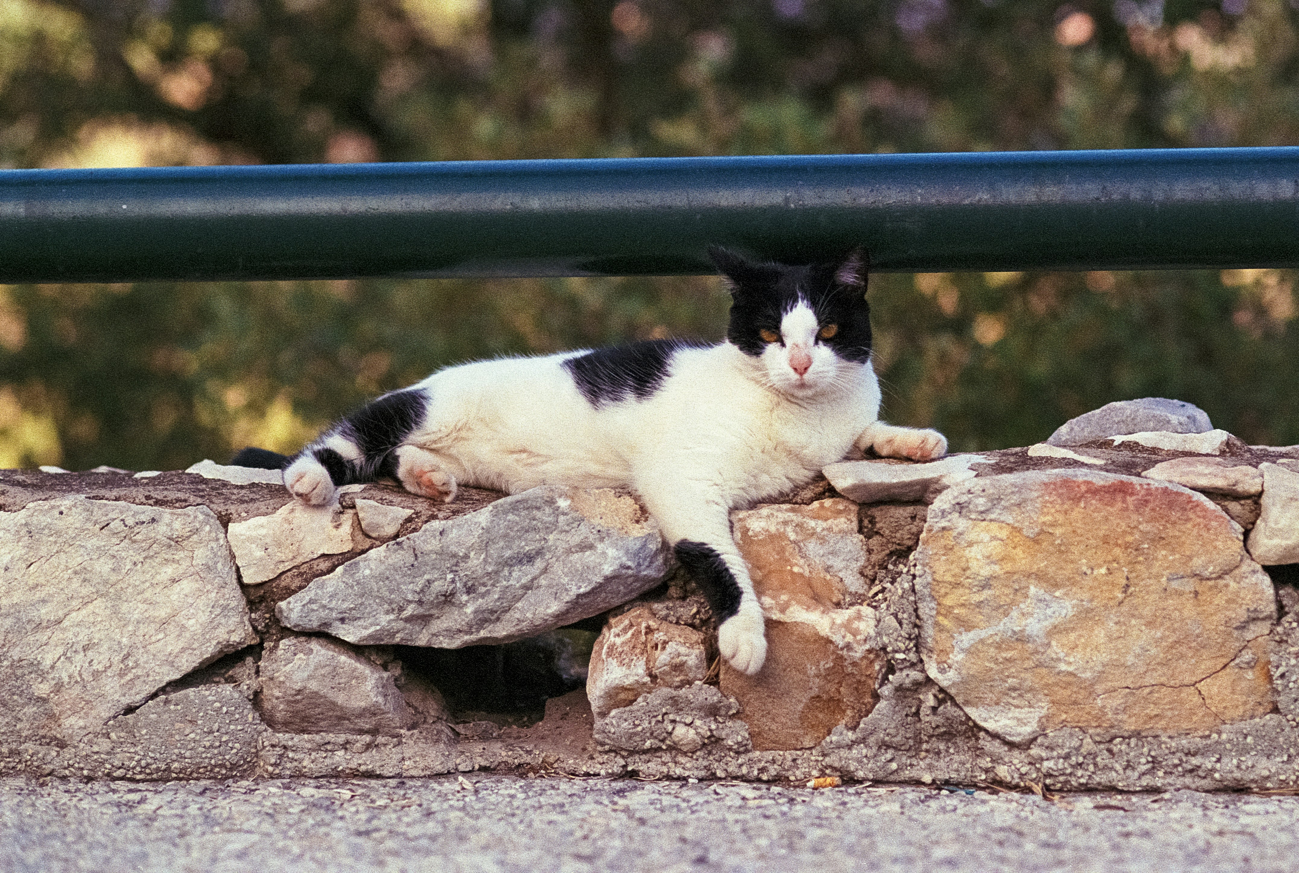 Photo by artistseyes