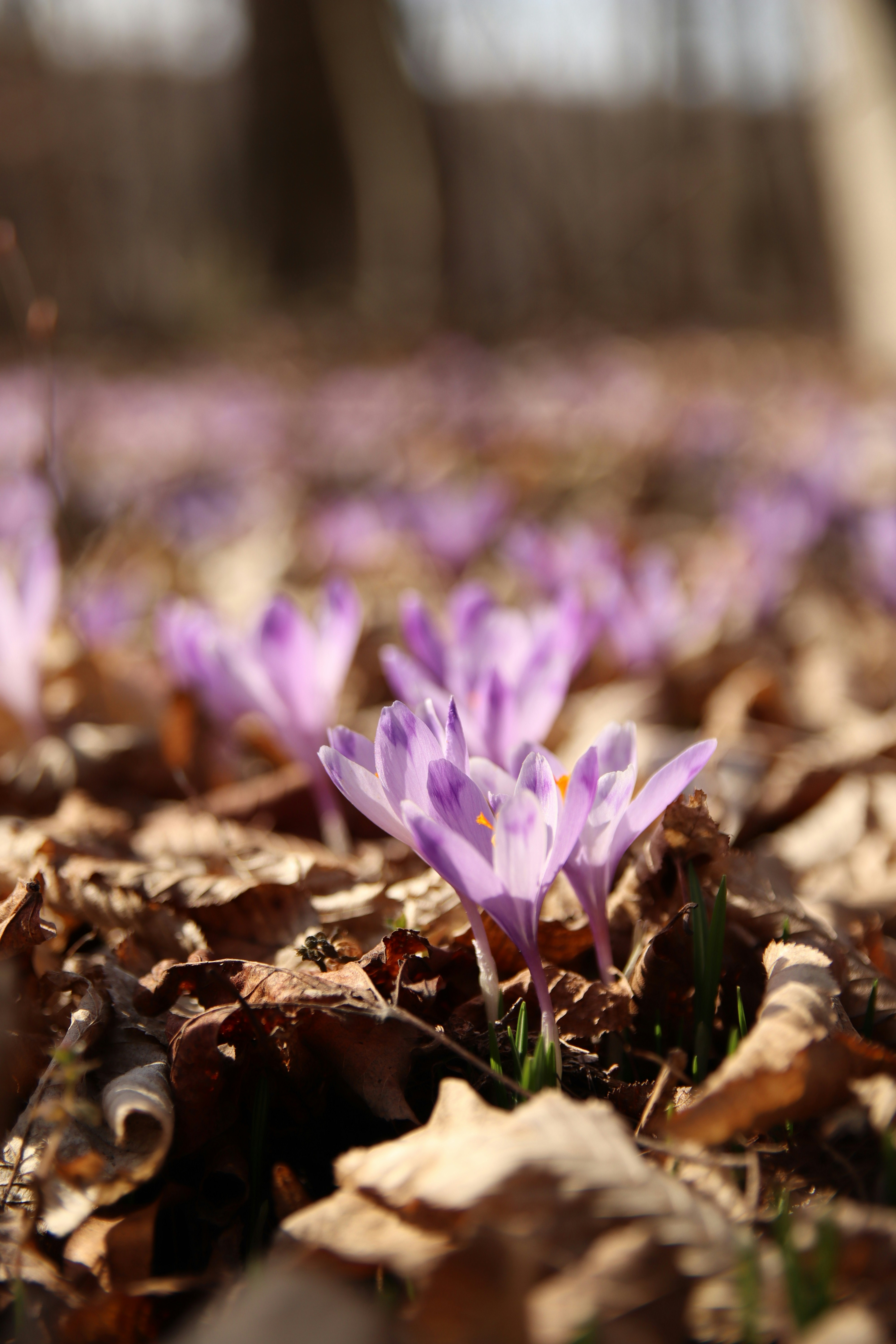 Photo by feeling_hope