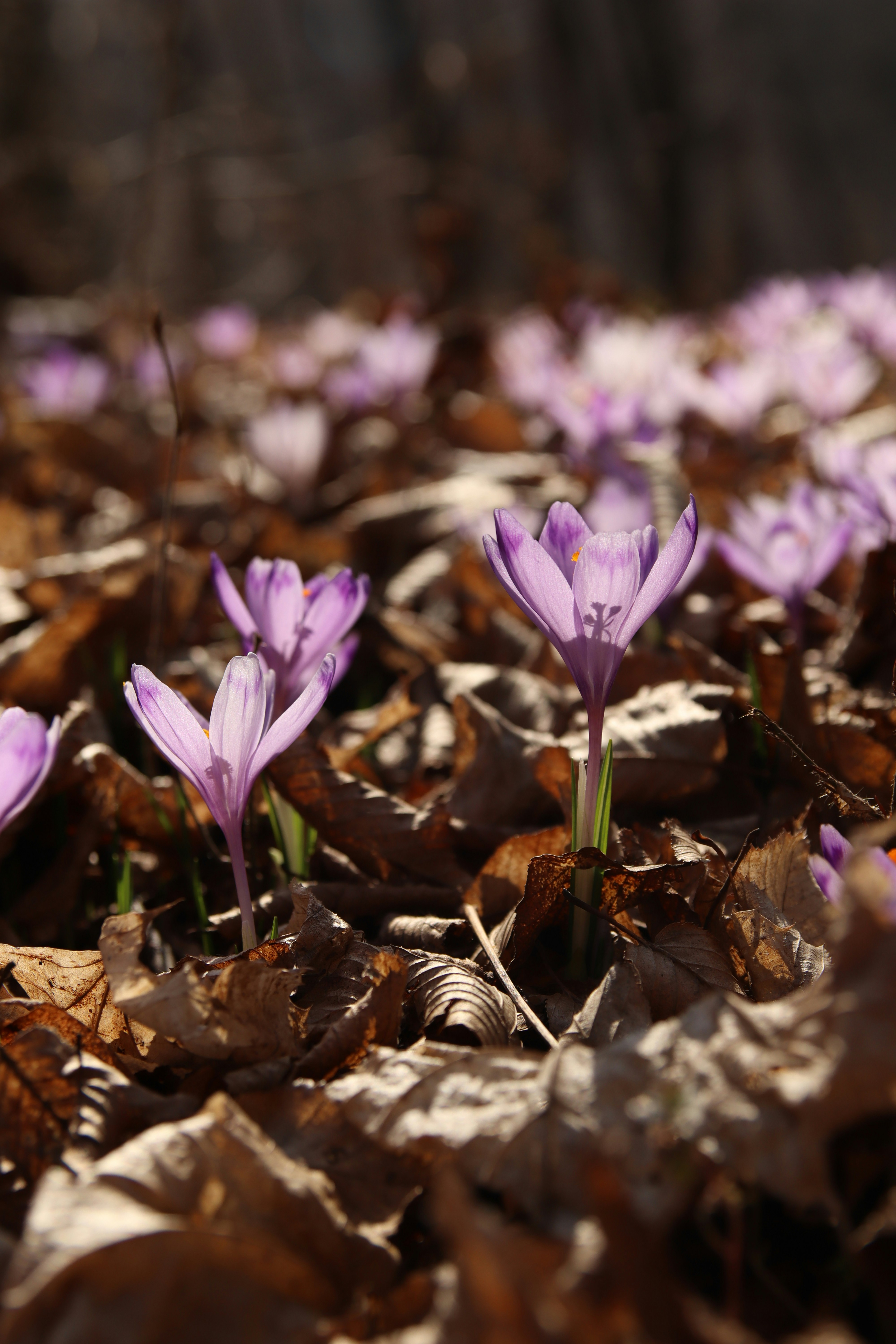 Photo by feeling_hope