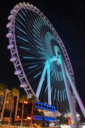 A ferris wheel glows at night with blue lights