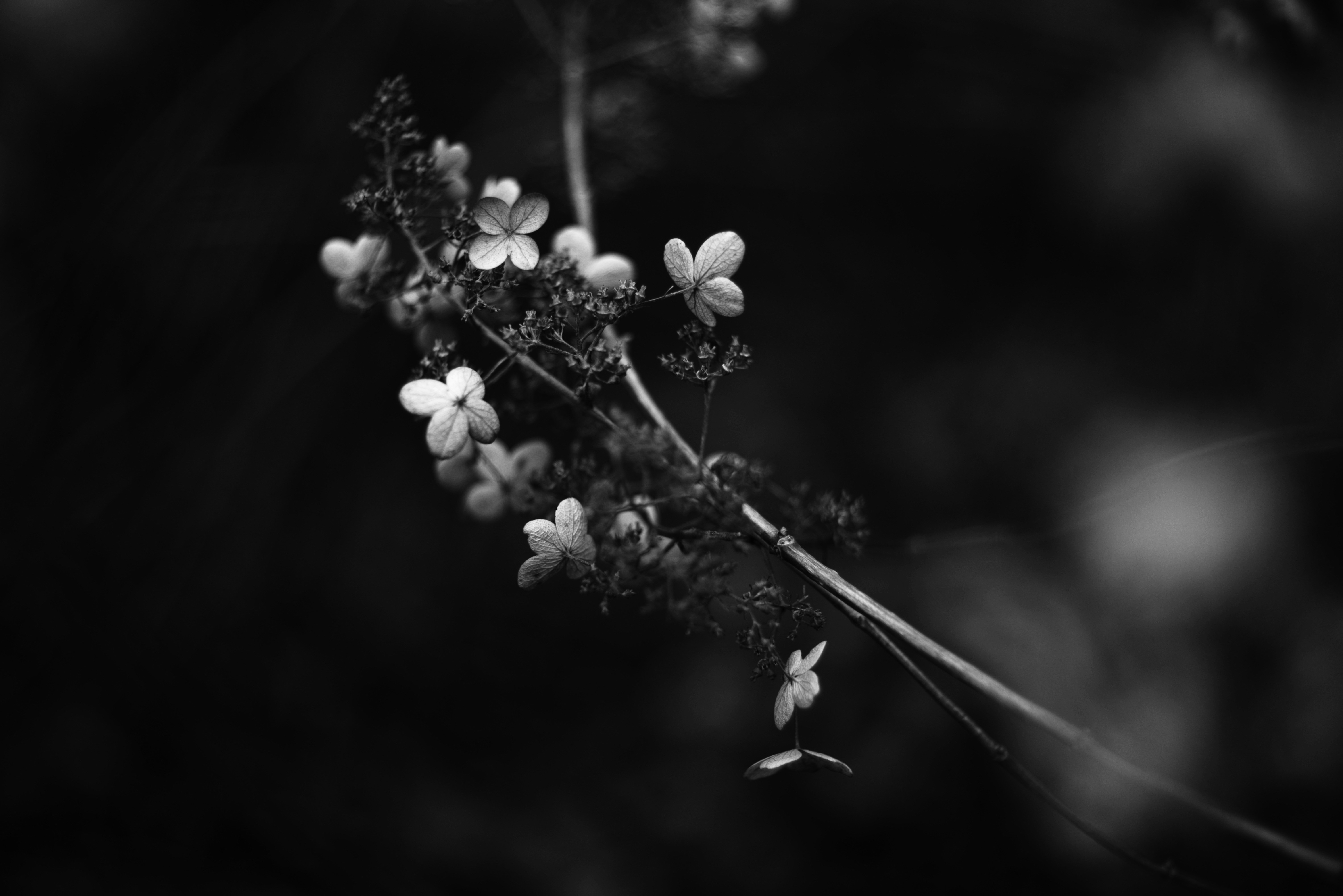 Photo by cherstve_pechivo