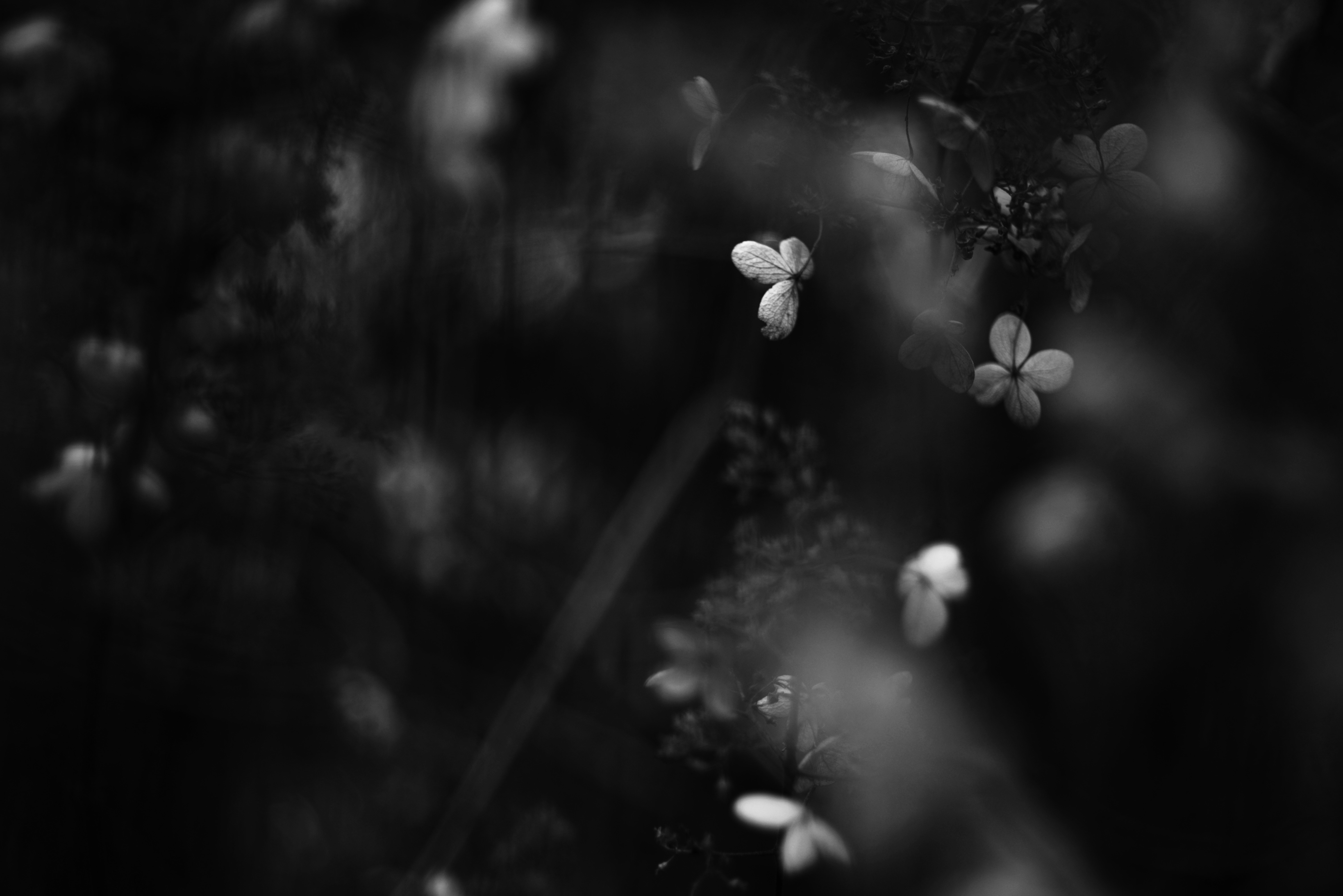 Photo by cherstve_pechivo