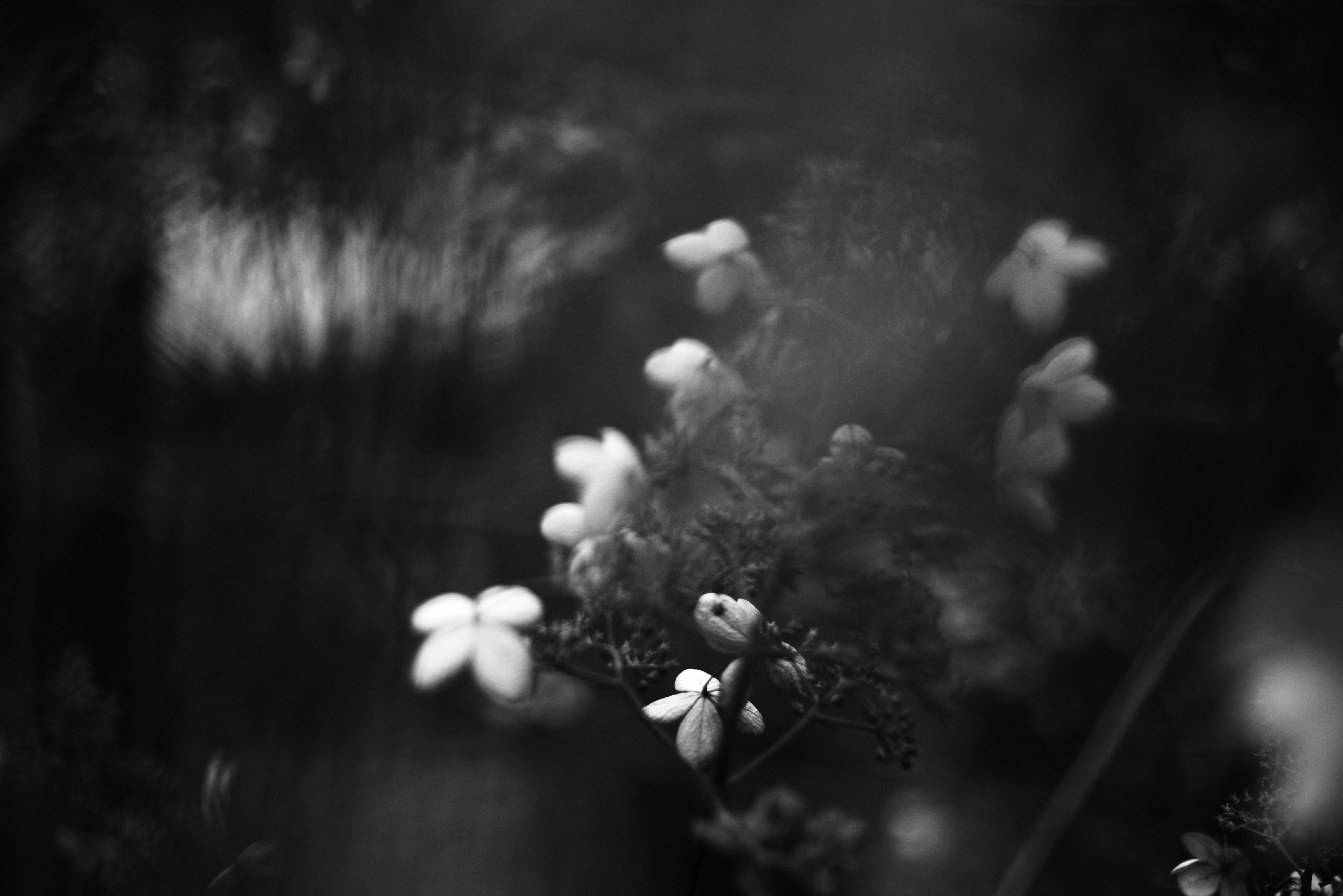 Photo by cherstve_pechivo