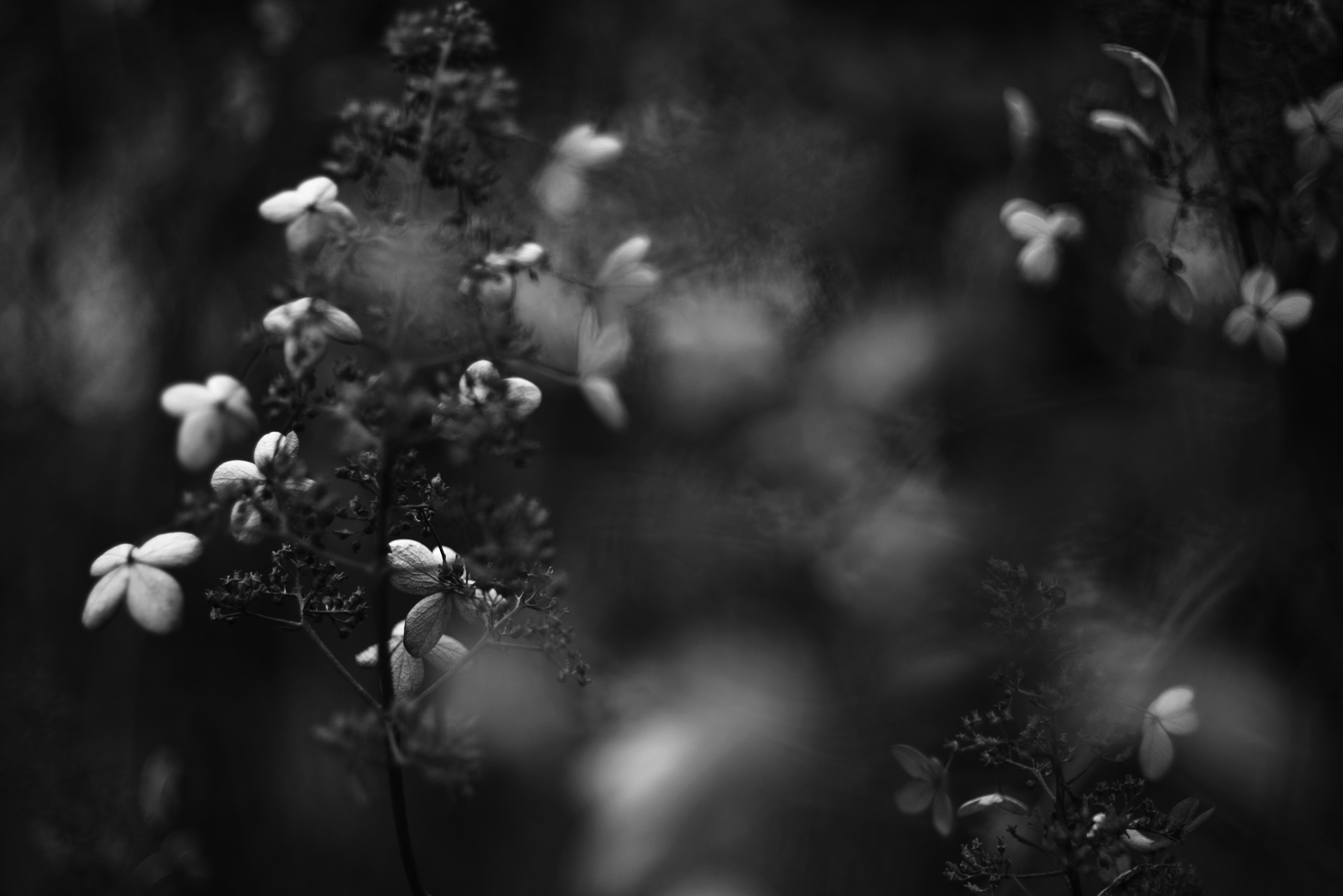 Photo by cherstve_pechivo