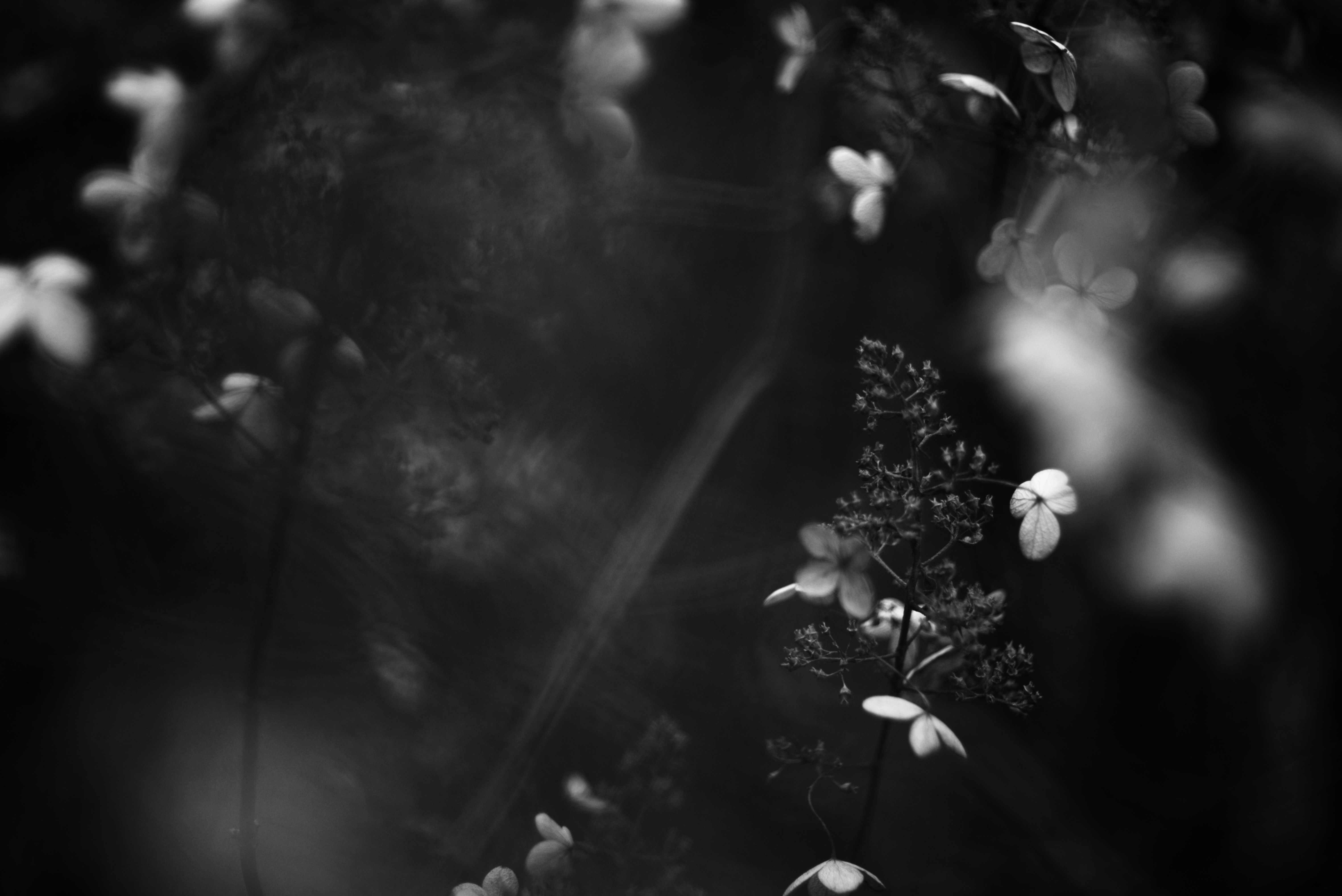 Photo by cherstve_pechivo