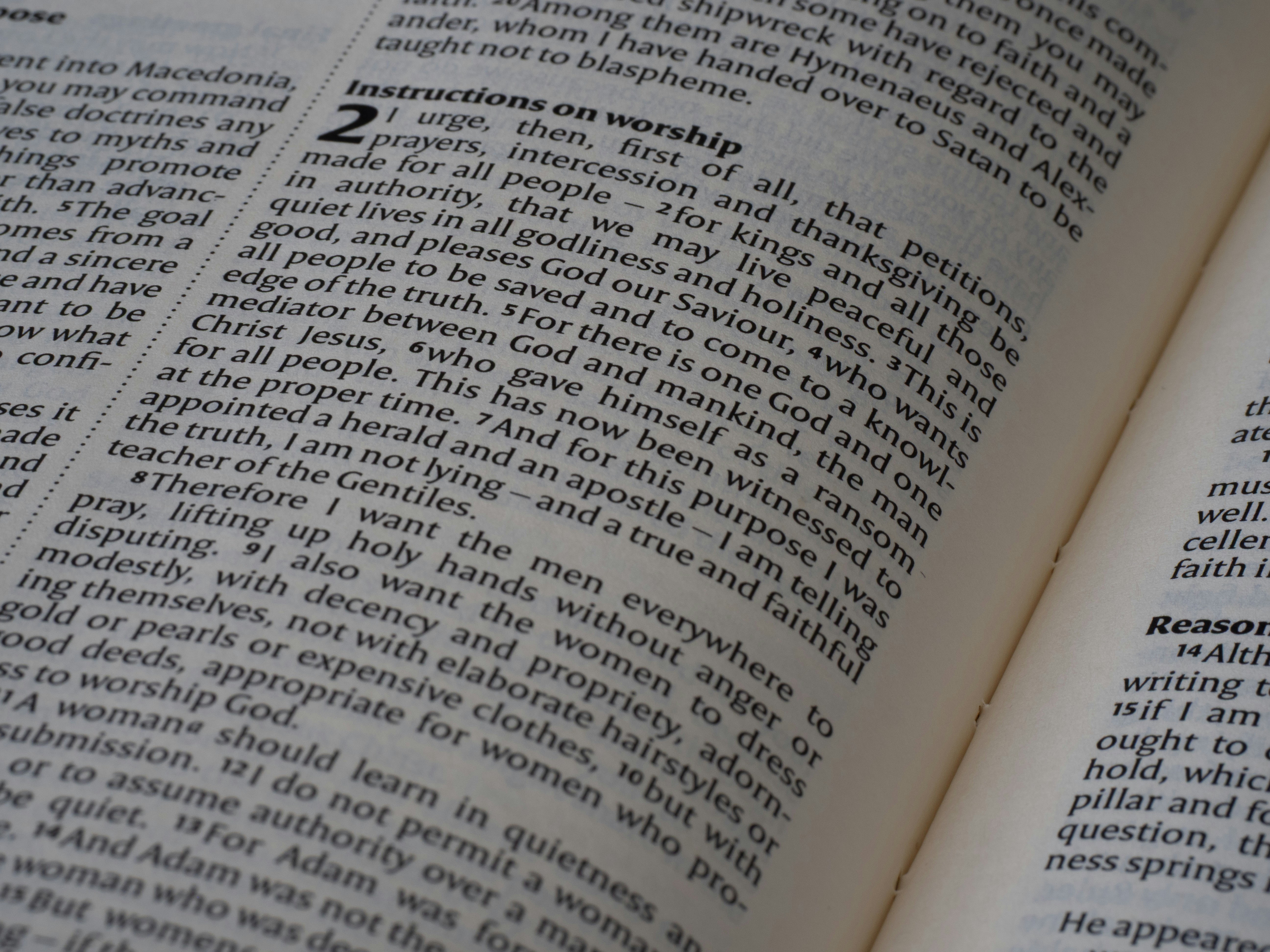 Photo by brett_jordan