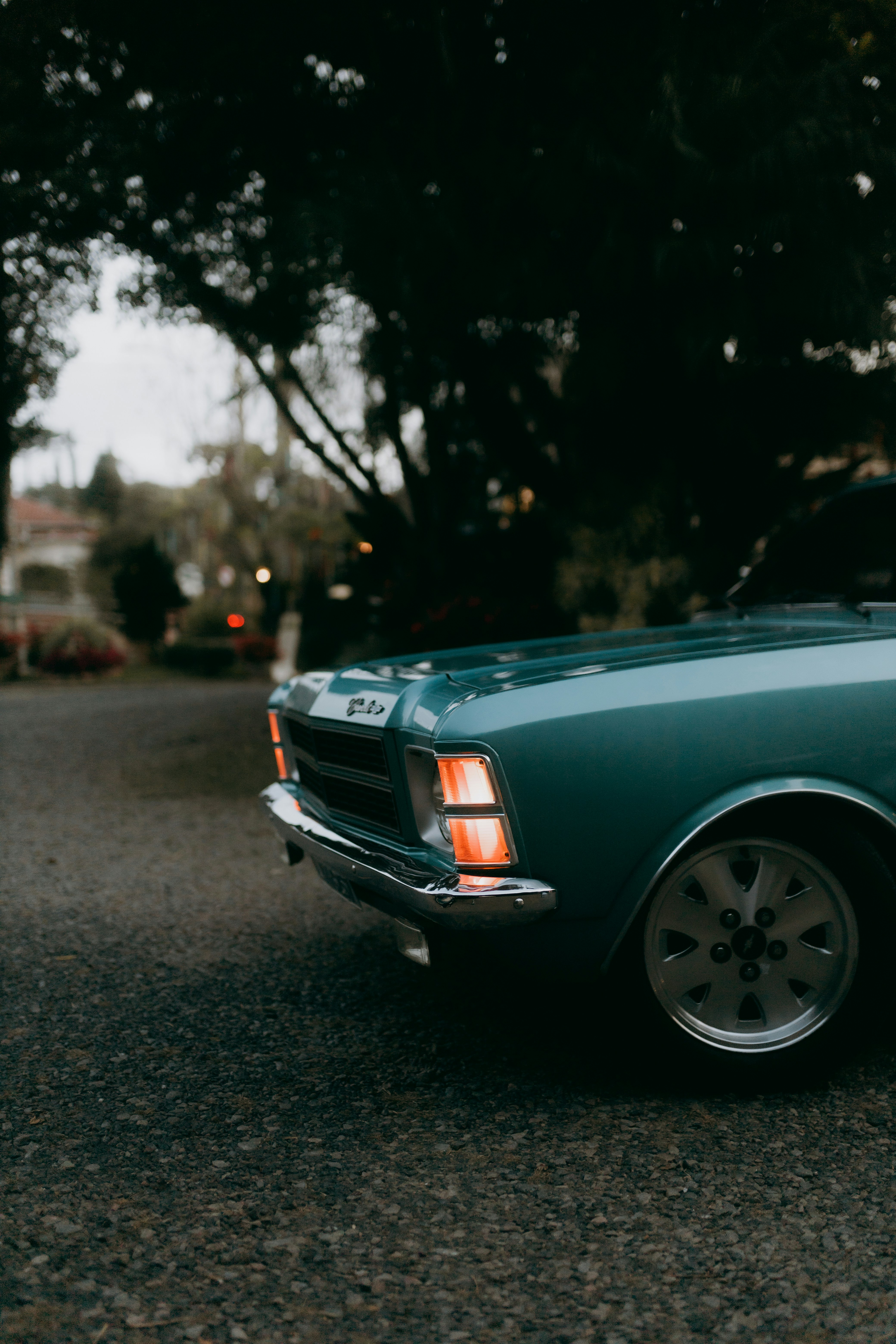 Photo by alexandermassph